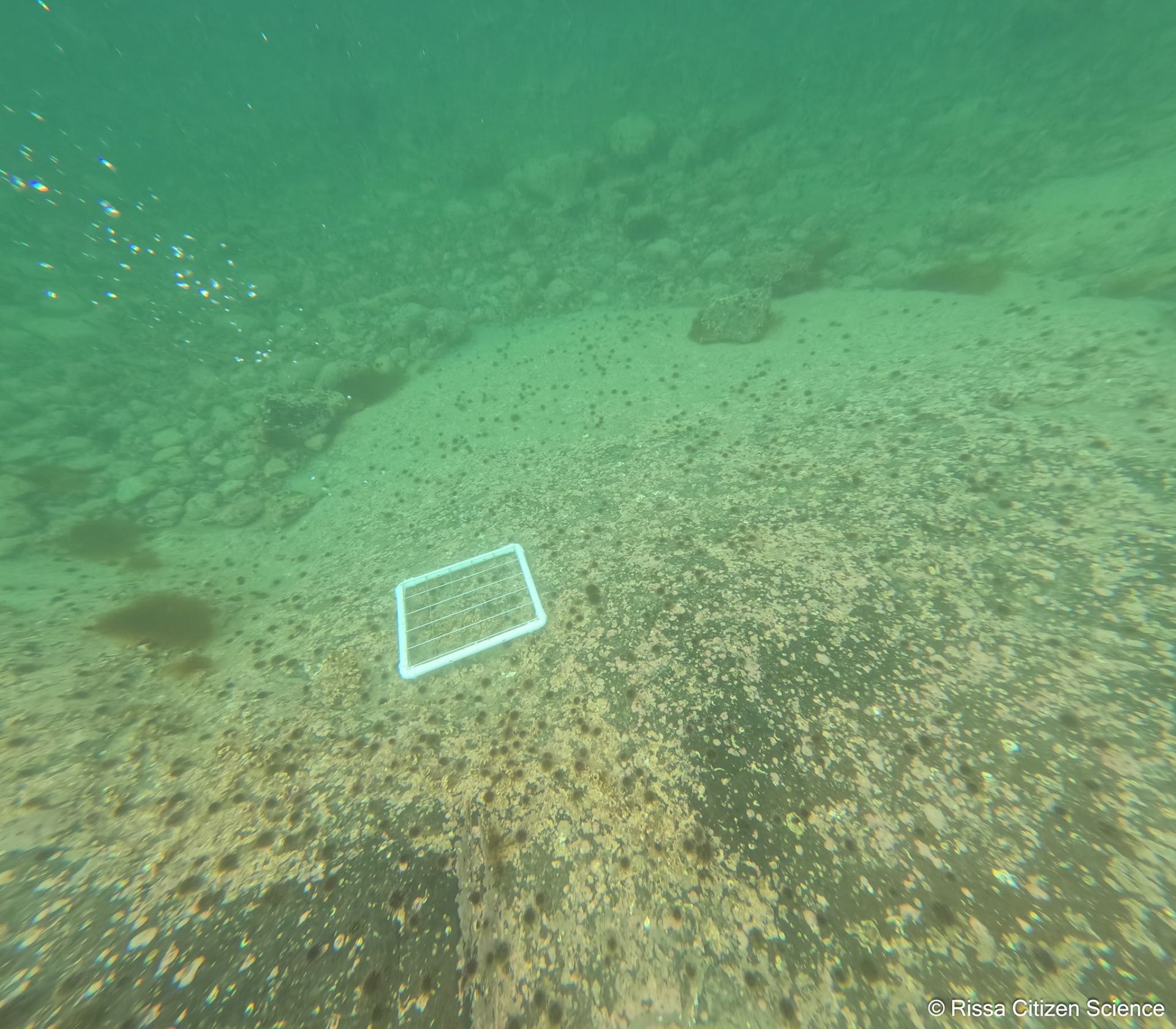 DCIM\100GOPRO\GP011179.JPG