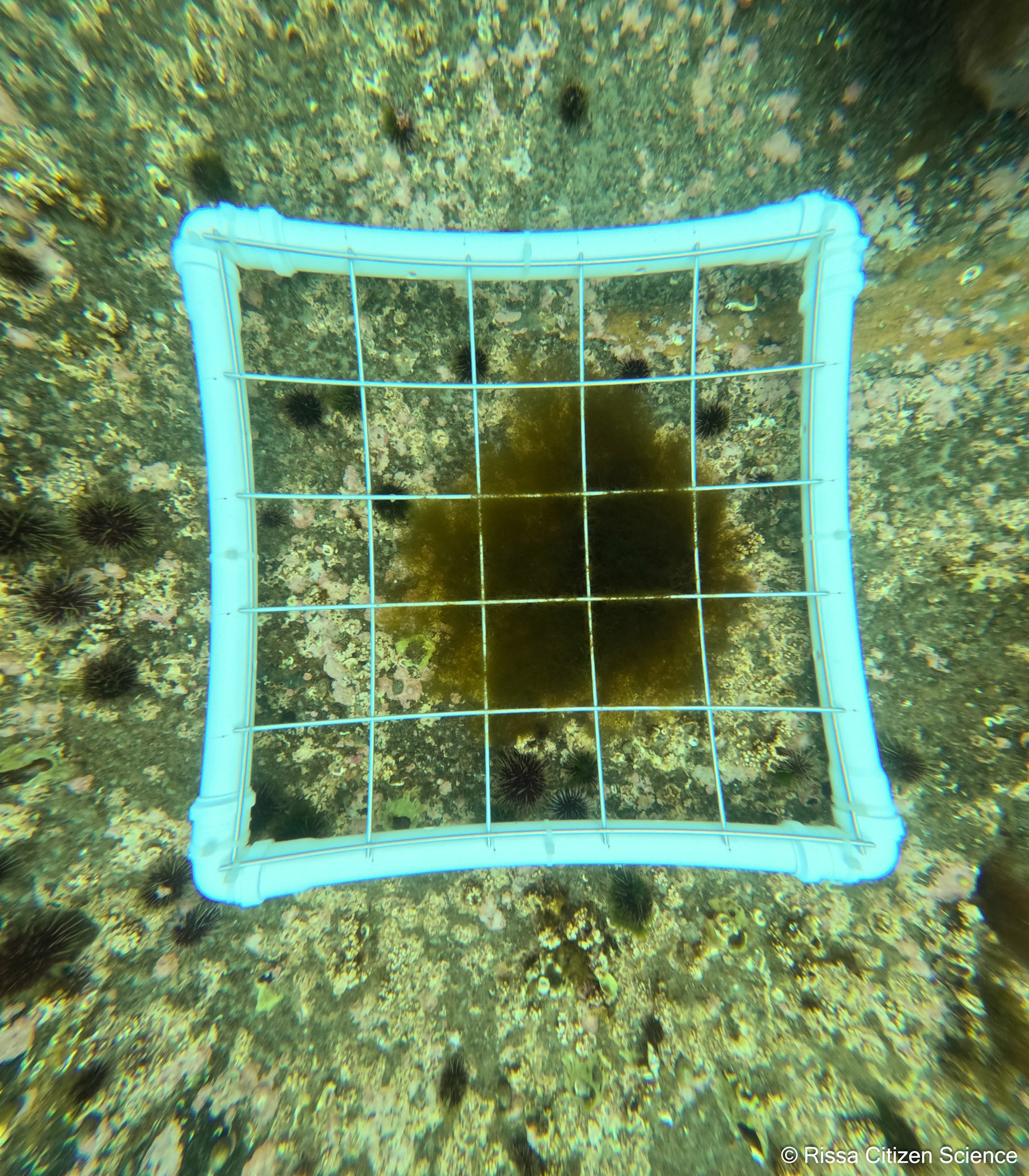 DCIM\100GOPRO\GP011129.JPG