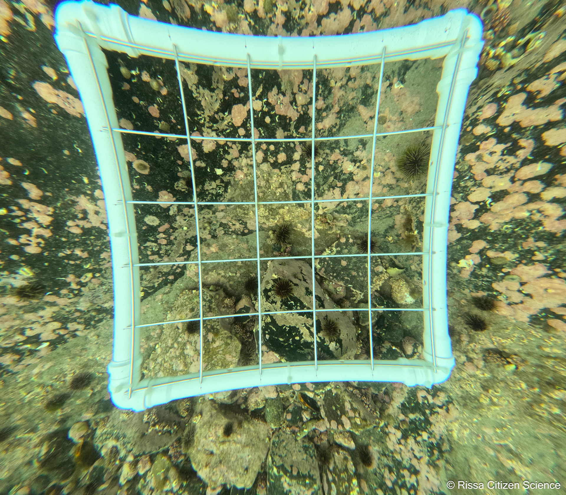 DCIM\100GOPRO\GP011139.JPG