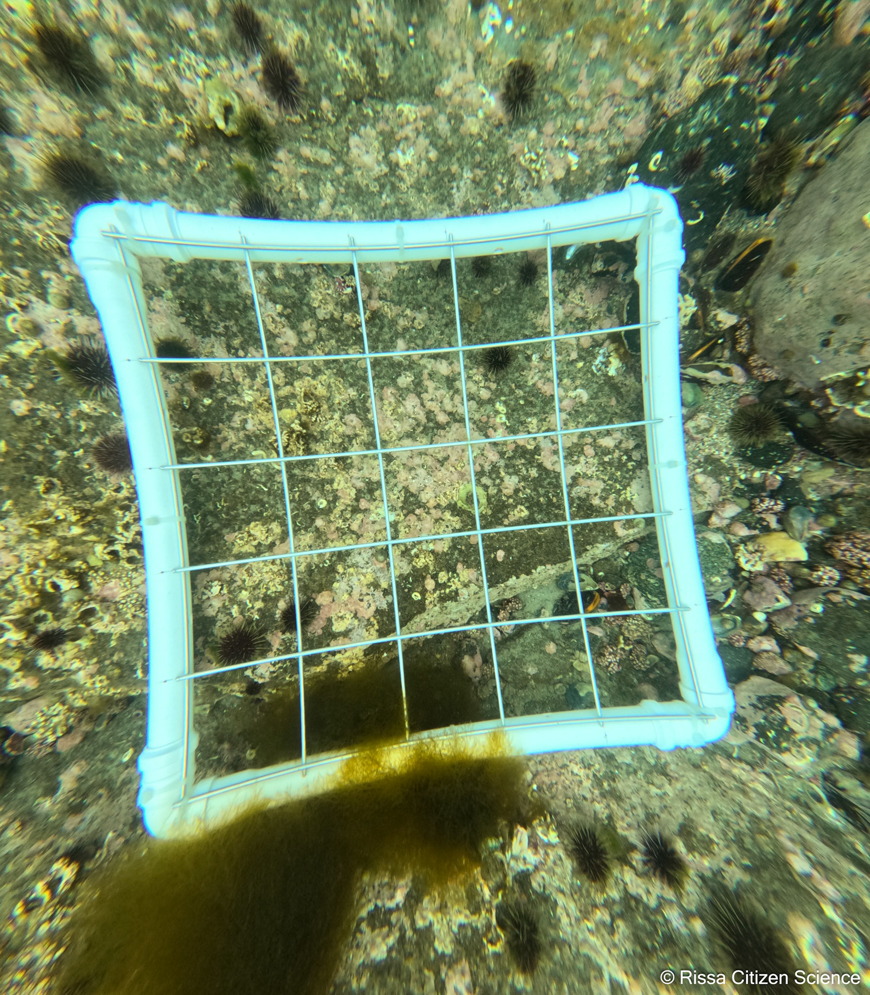DCIM\100GOPRO\GP011133.JPG