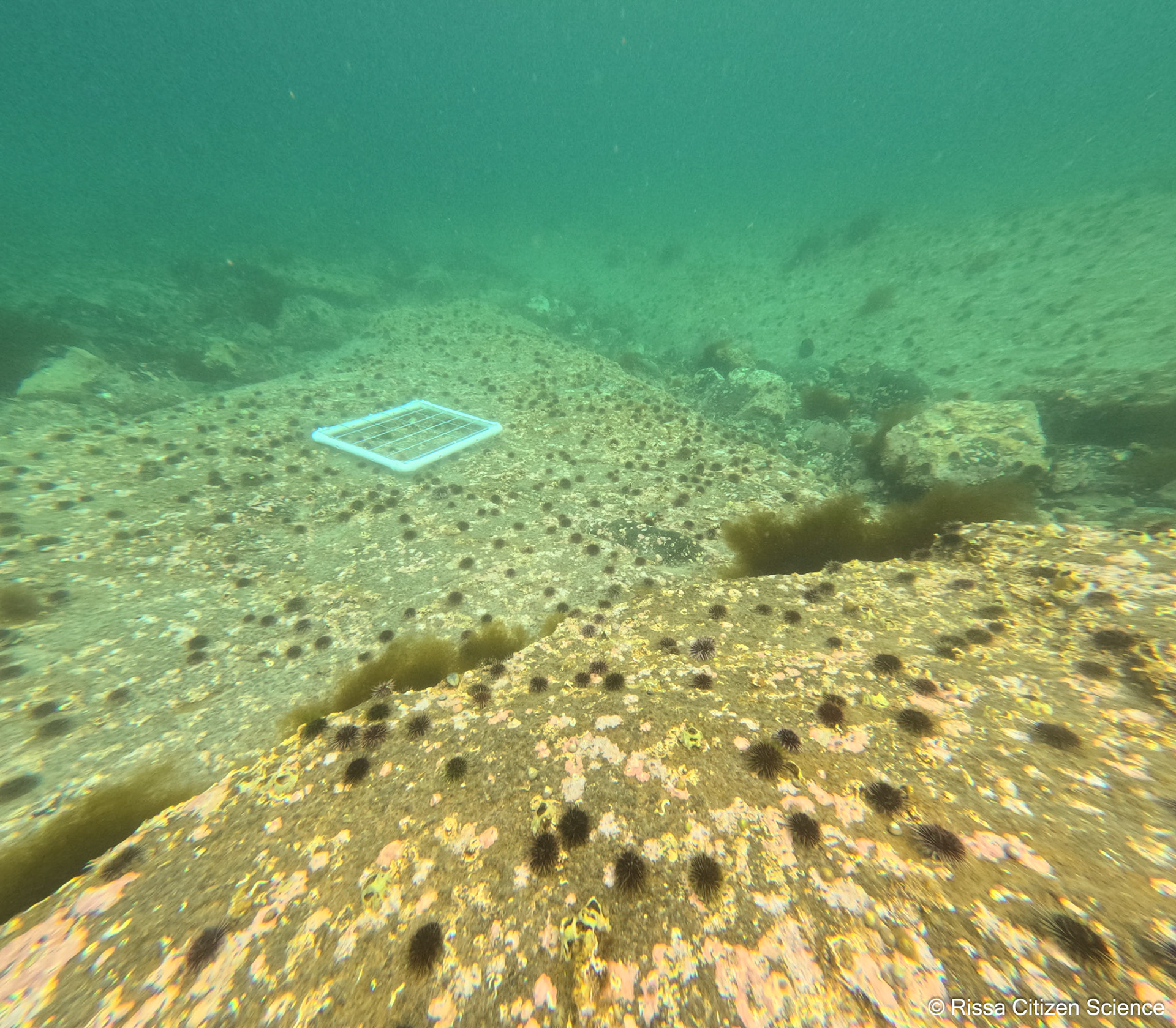 DCIM\100GOPRO\GP011236.JPG
