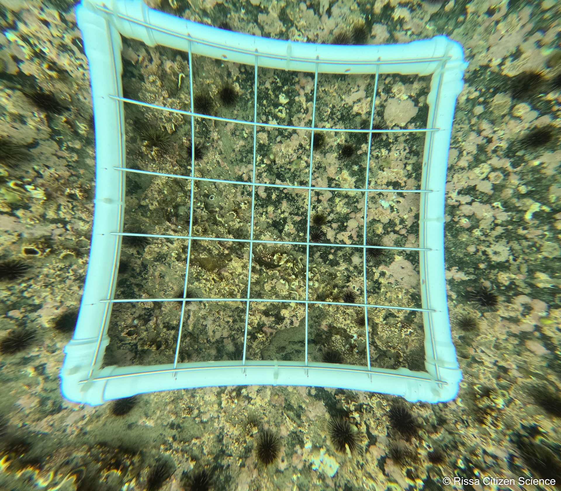 DCIM\100GOPRO\GP011181.JPG