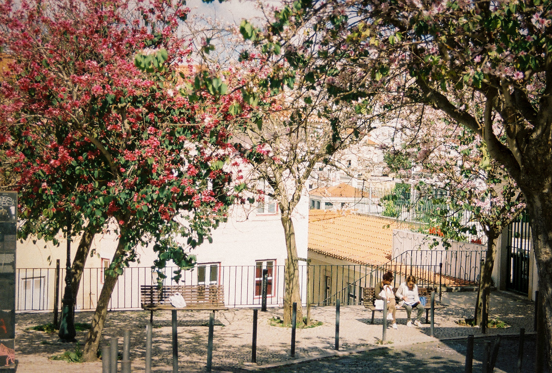 LISBON