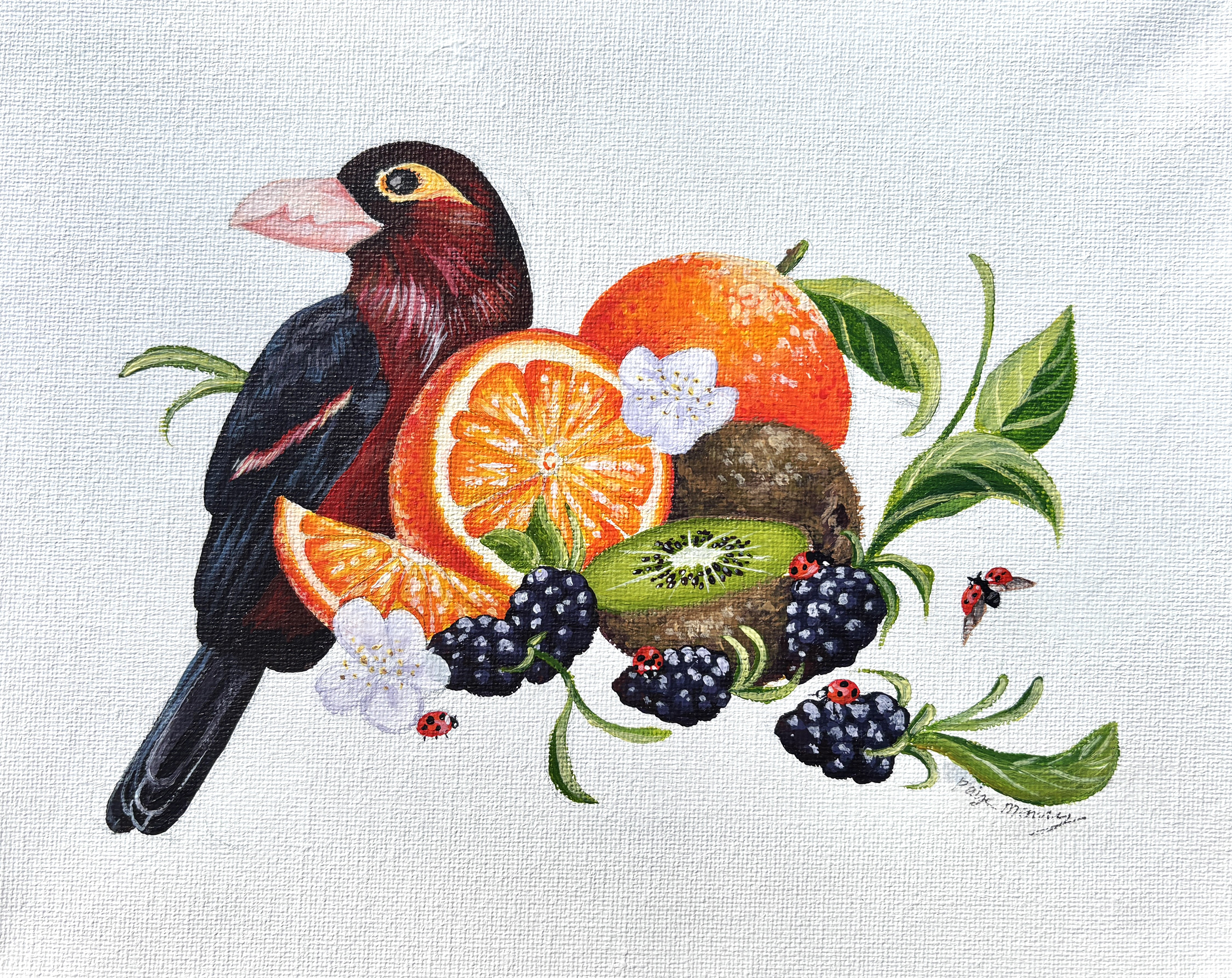 Double-toothed Barbet (2025)