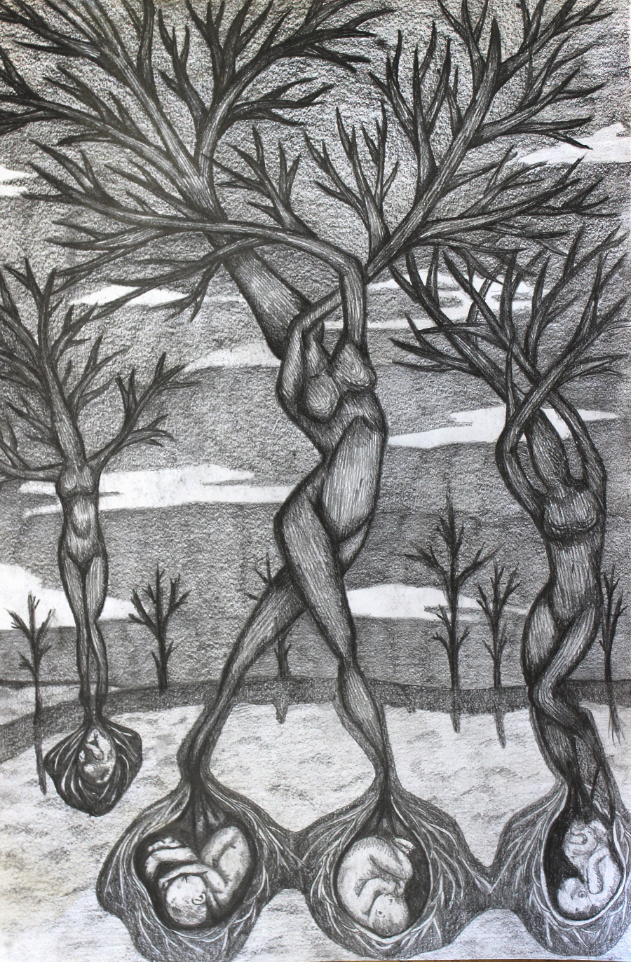 Graphite, 18x24 inch.