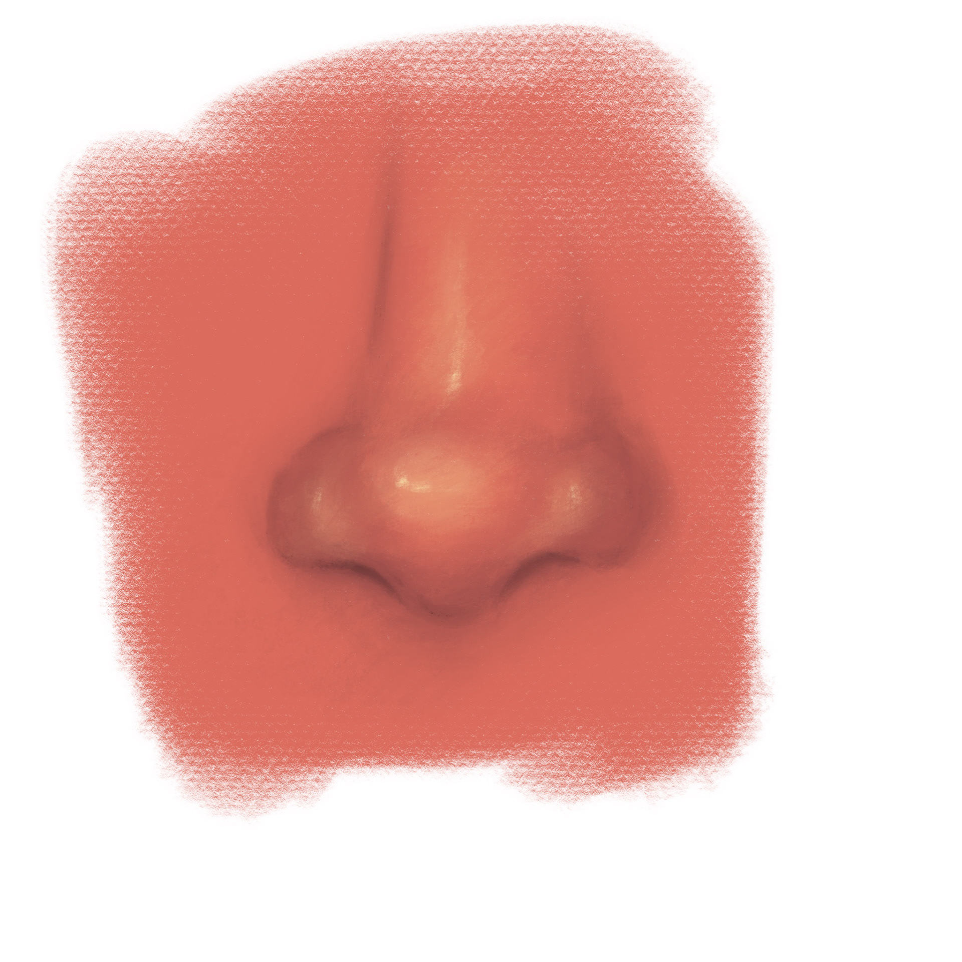 An exercise in realism and noses.