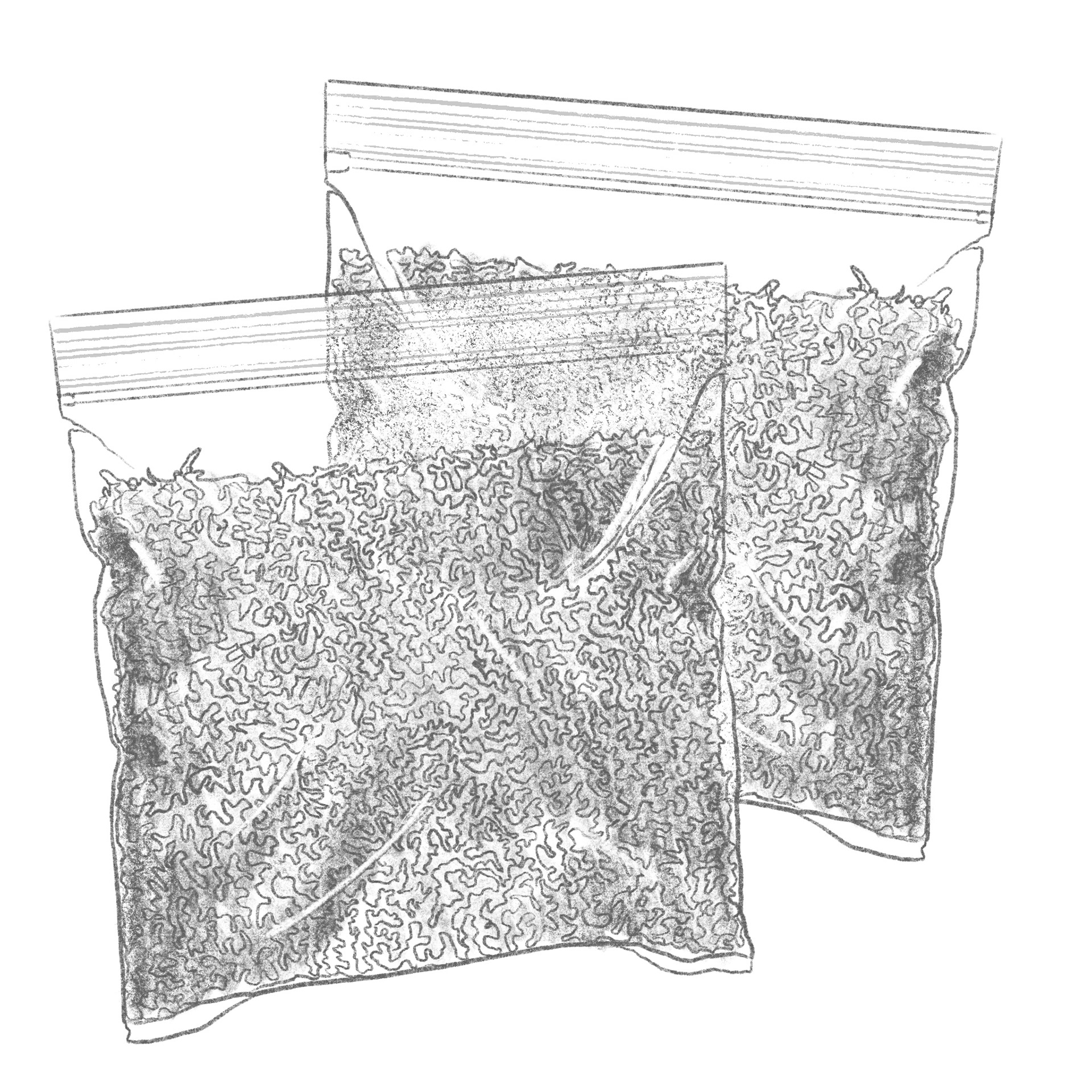 1 of 4; Corporate illustration (Blending Tobacco)