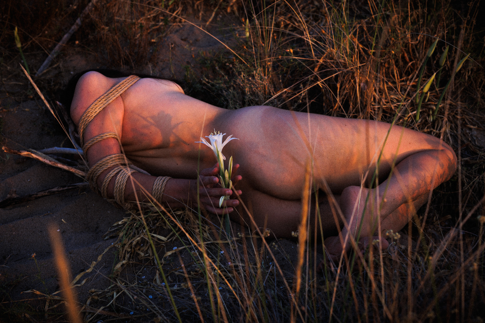 Cordes par Galaad.shibari | Amachouille | Assistance Lavance Ropes 