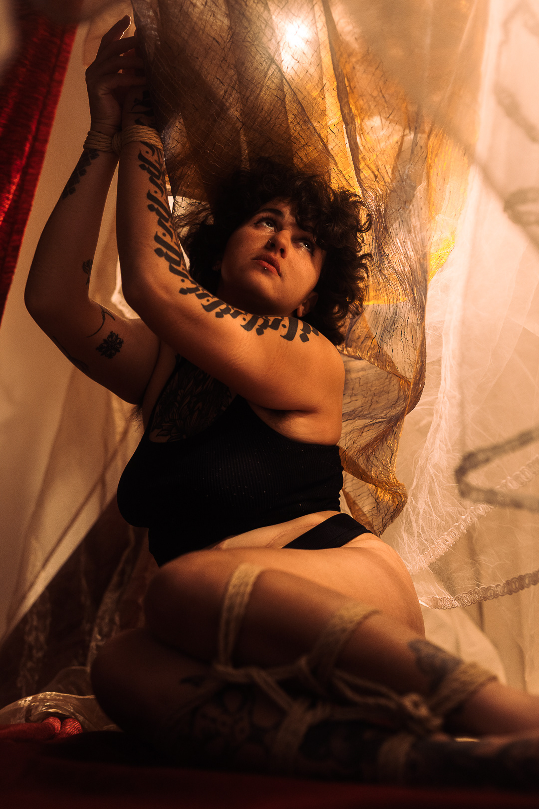 Cordes par Queerbaku | Lavande Ropes