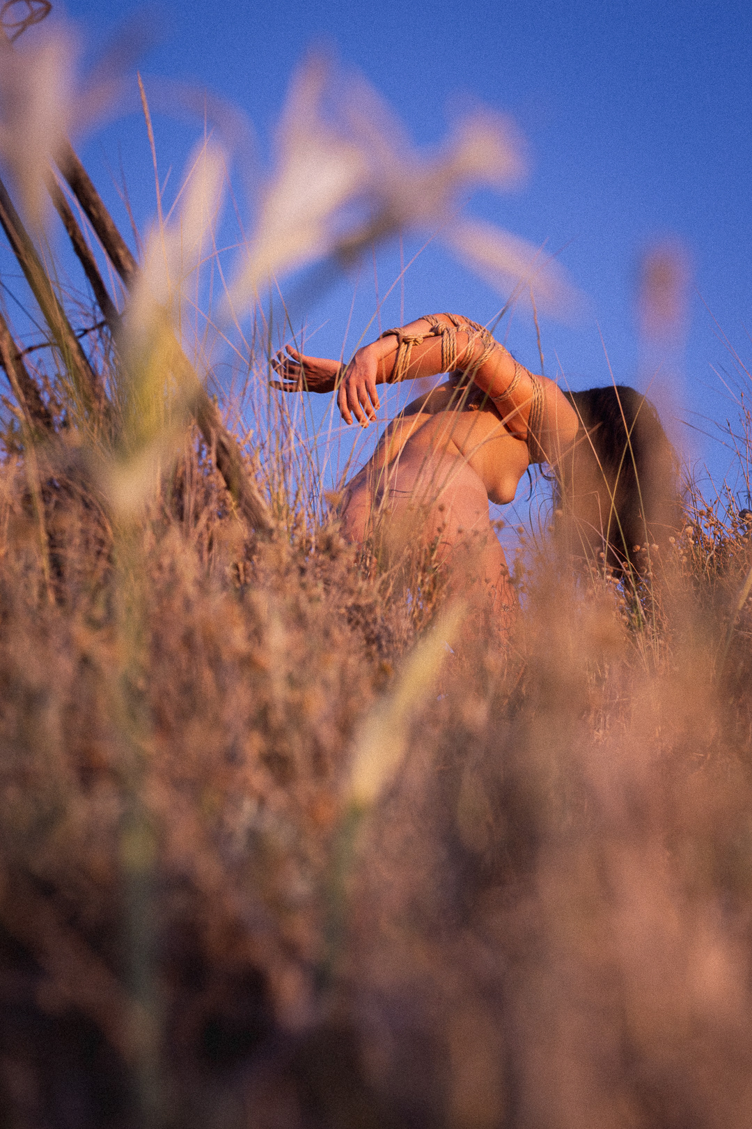 Cordes par Galaad.shibari | Amachouille | Assistance Lavance Ropes 