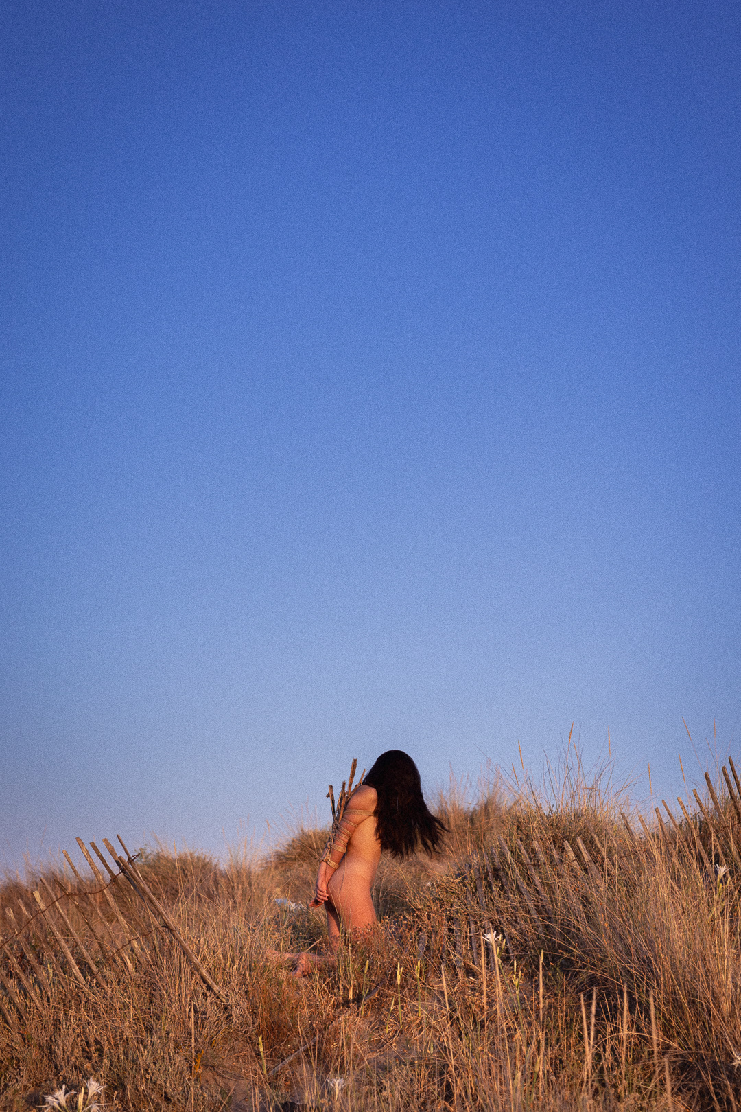 Cordes par Galaad.shibari | Amachouille | Assistance Lavance Ropes 