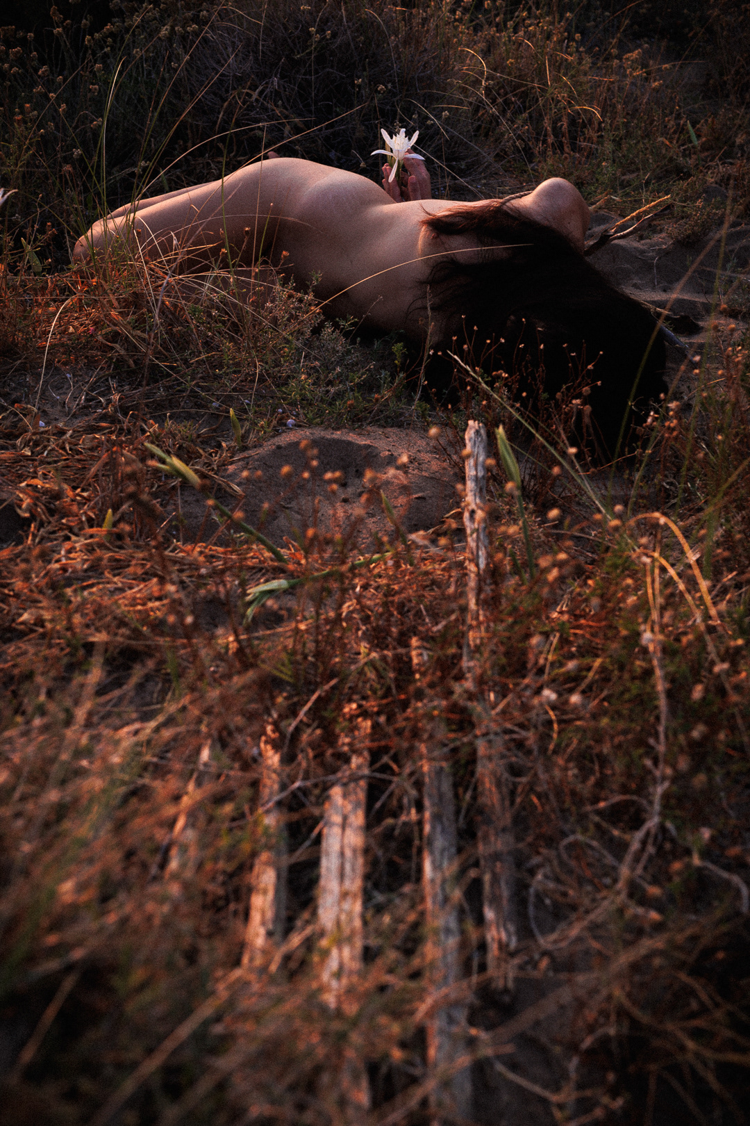 Cordes par Galaad.shibari | Amachouille | Assistance Lavance Ropes 