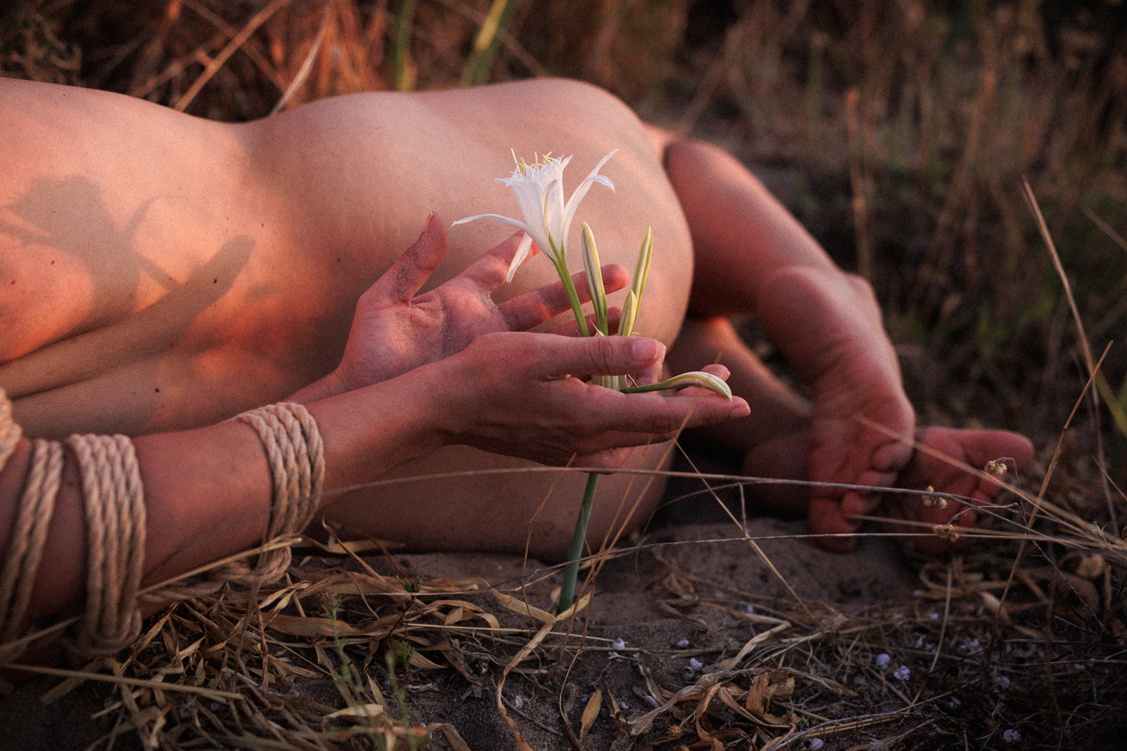 Cordes par Galaad.shibari | Amachouille | Assistance Lavance Ropes 