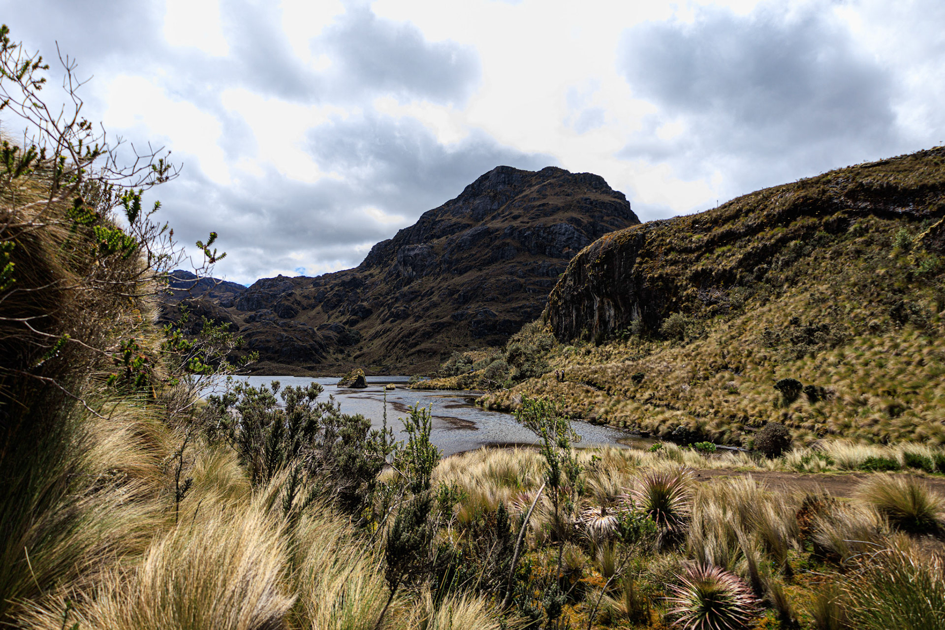 Cajas National Park, Ecuador