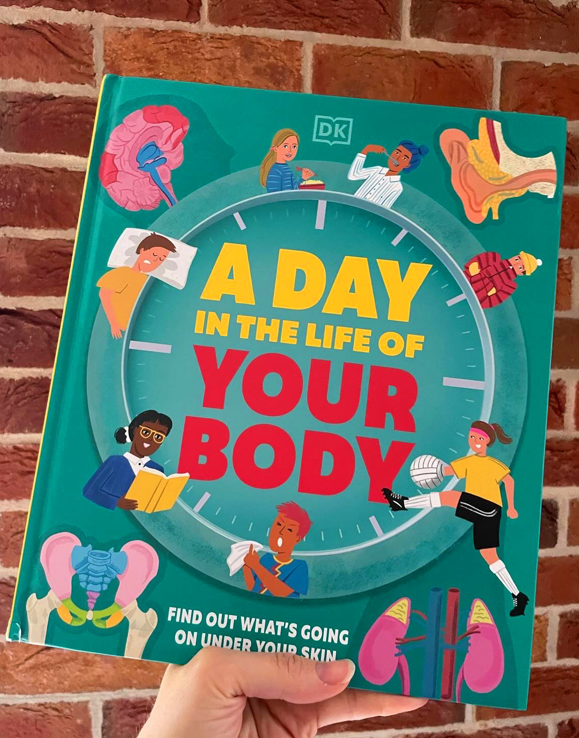A Day in the Life of your body - DK Publishing