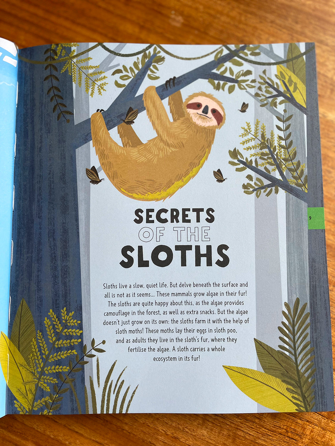 The Big Book of Useless Knowledge. Published May 2024 by Neon Squid