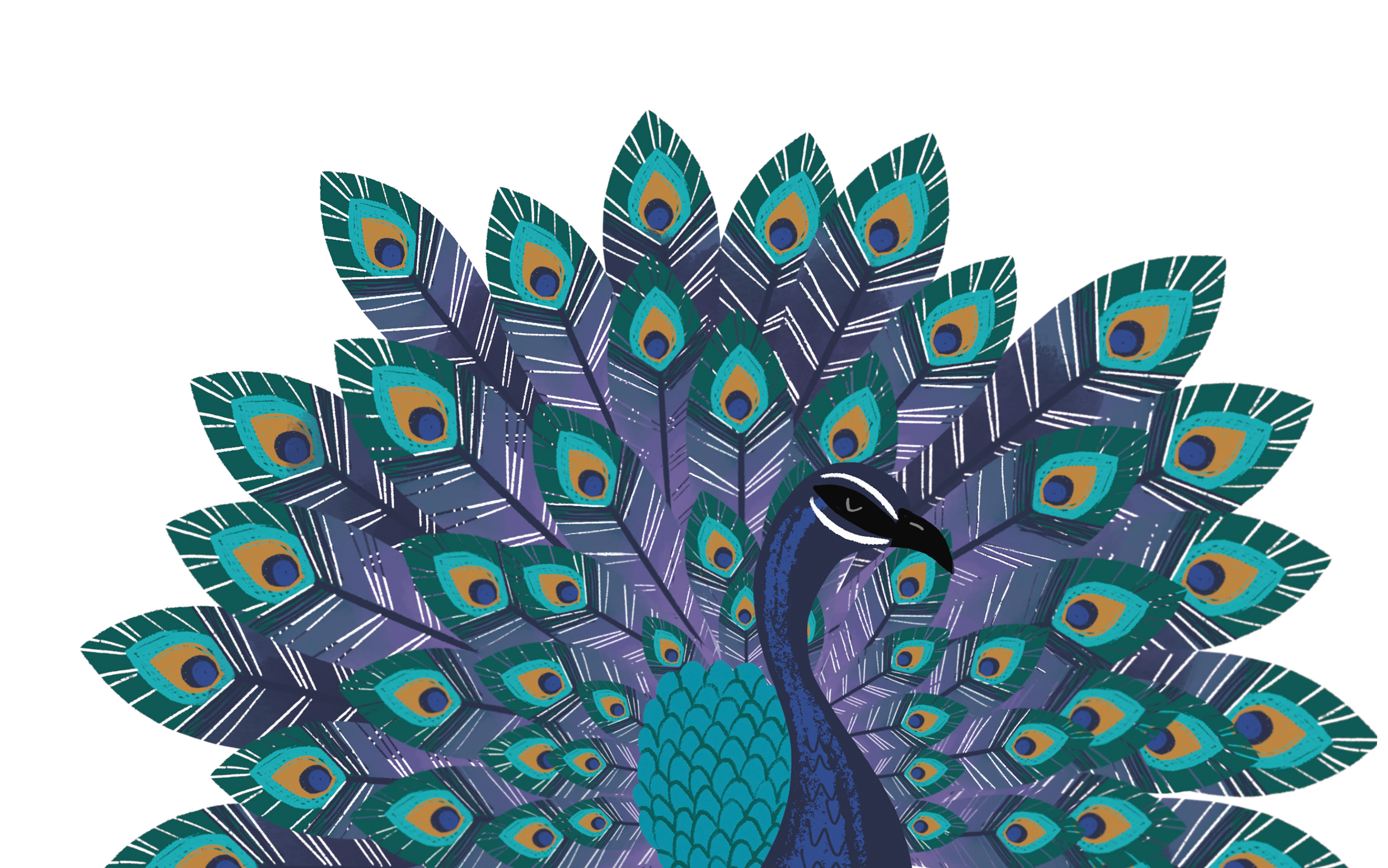 Can You Get Rainbows in Space - Puffin Books