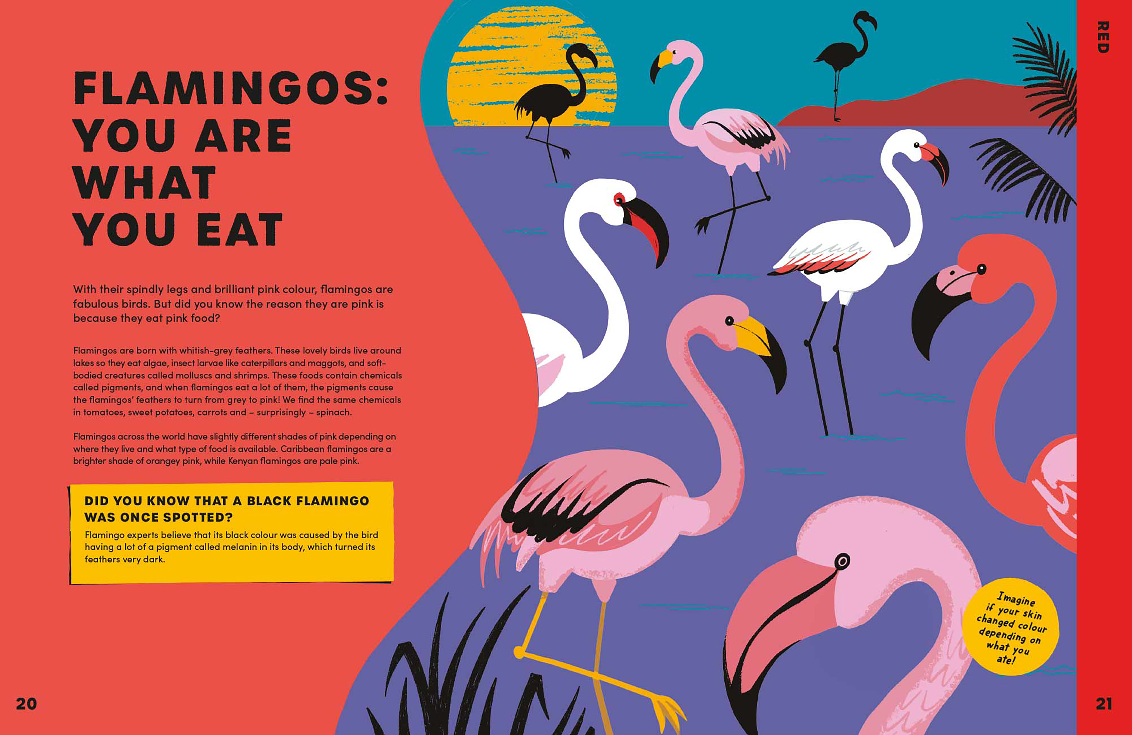 Can You Get Rainbows in Space? Written by Sheila Kanani, Published by Puffin