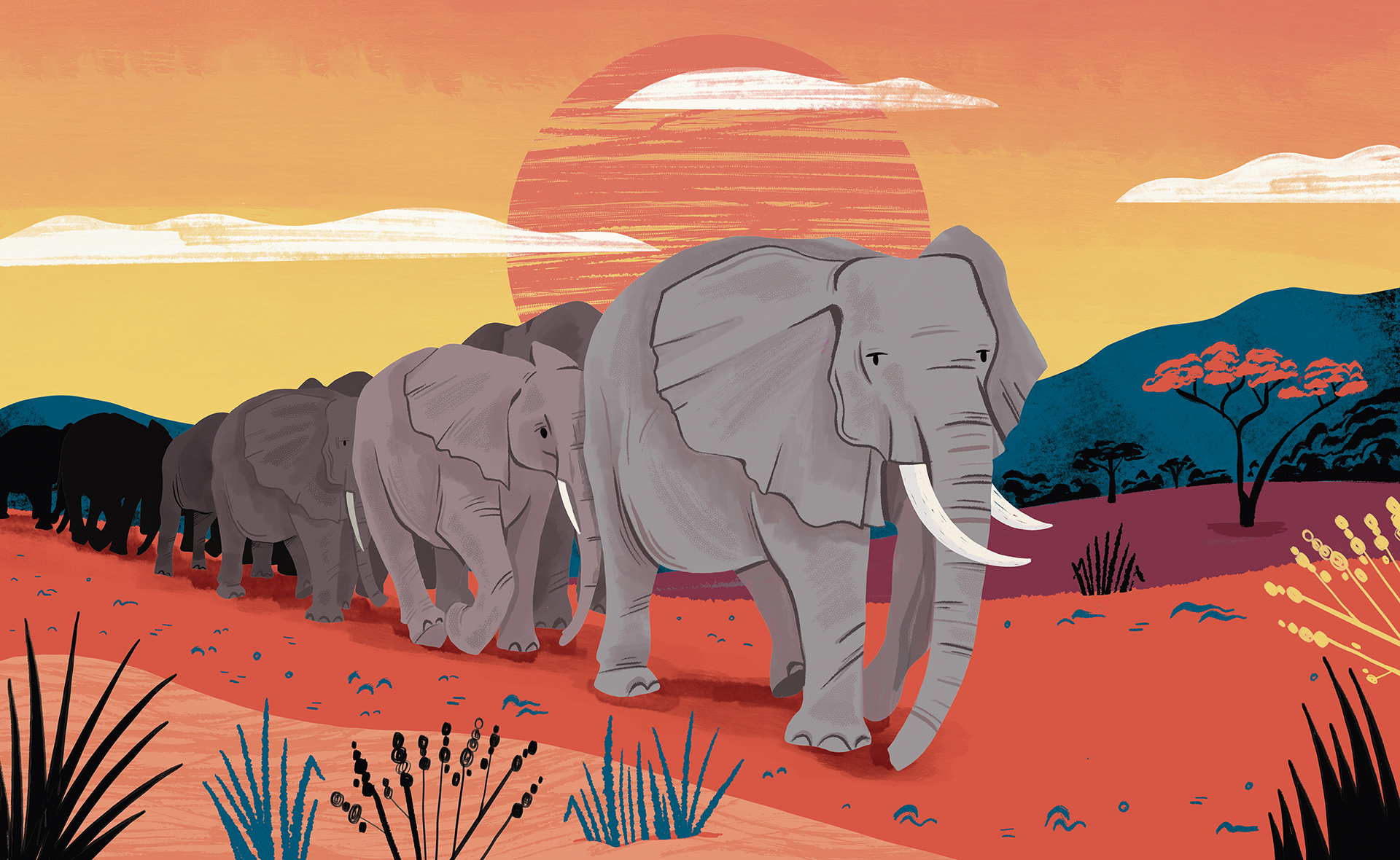 Elephant Leaders - speculative work