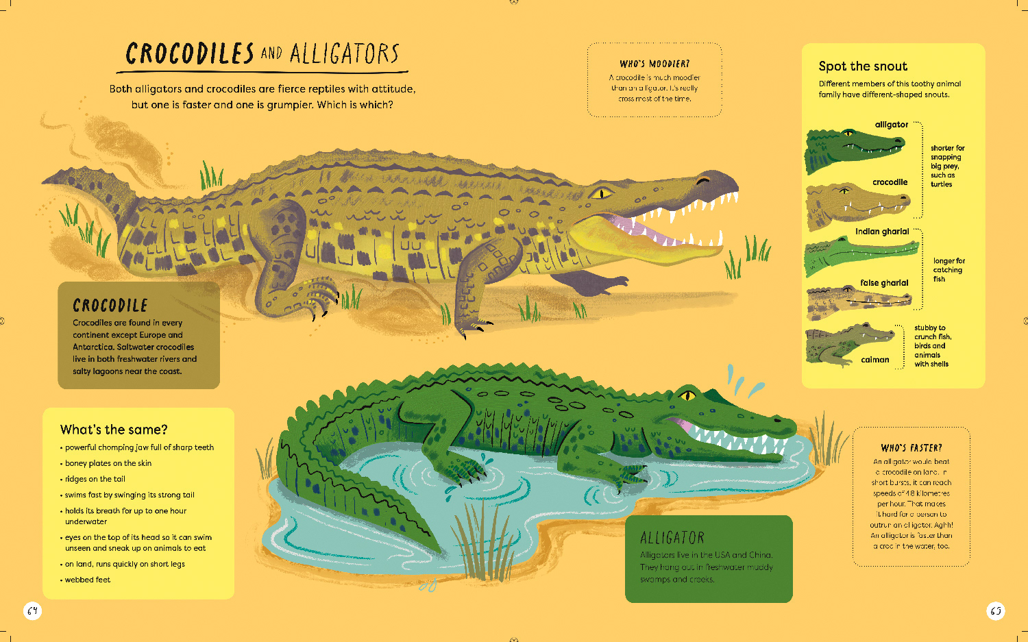 What's the Actually Factually Difference - Quarto