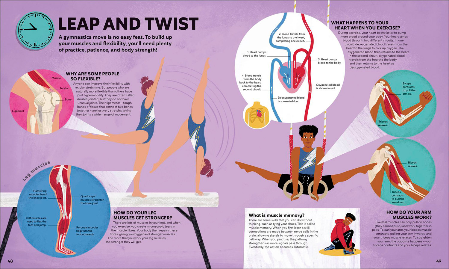 A Day in the Life of your body- Published by Words & Pictures