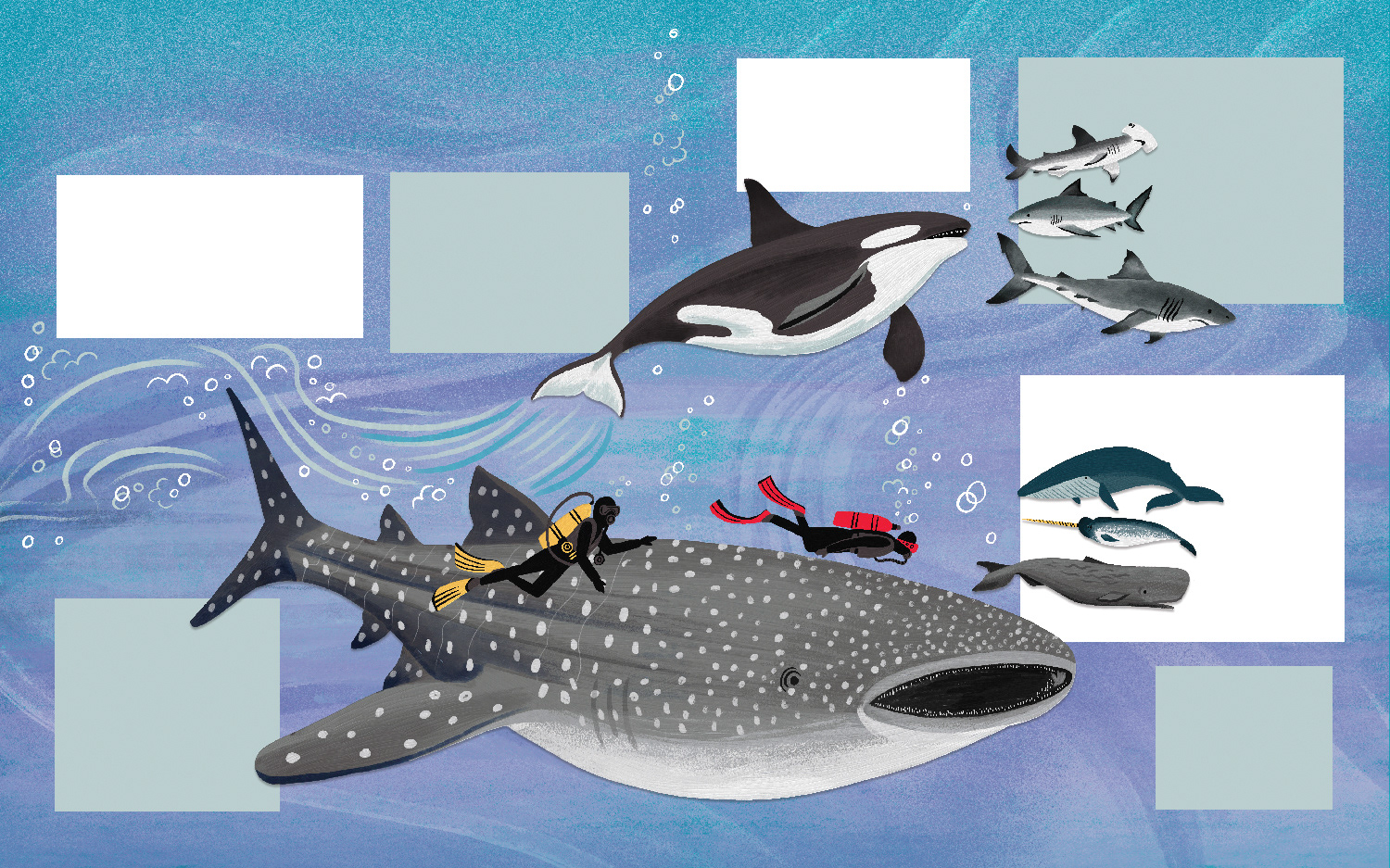 What's the Actually Factually Difference - Quarto