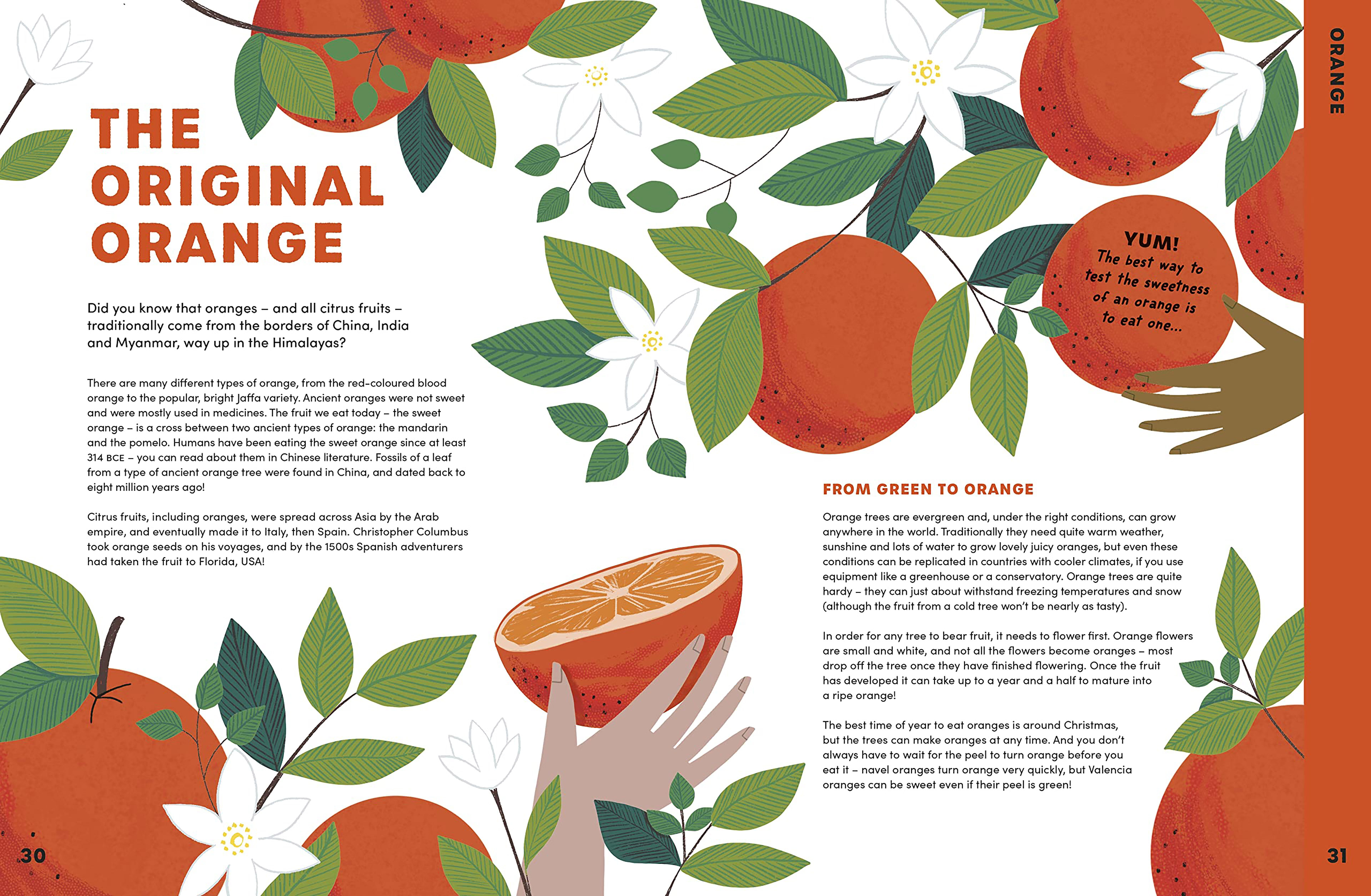 Can You Get Rainbows in Space? Written by Sheila Kanani, Published by Puffin