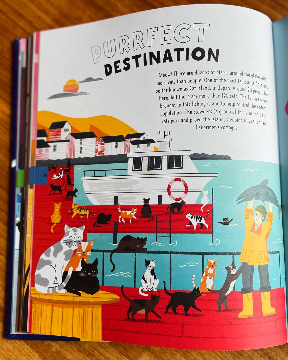 The Big Book of Useless Knowledge. Published May 2024 by Neon Squid