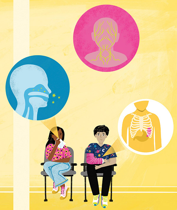 A Day in the Life of your body- Published by Words & Pictures