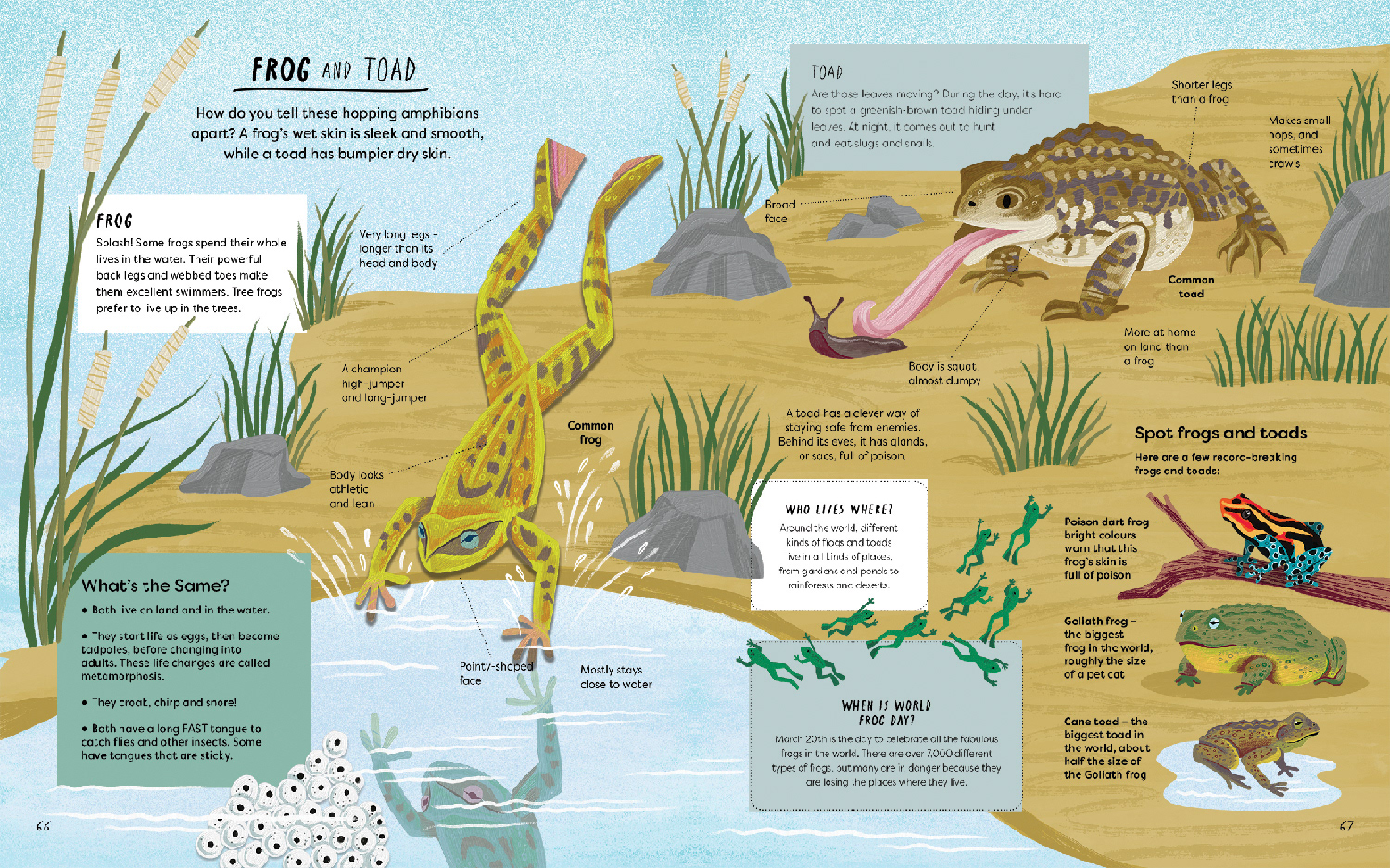 What's the Actually Factually Difference