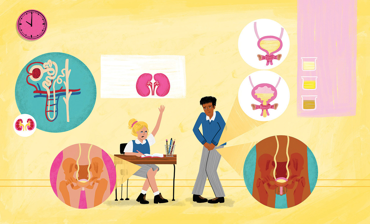 A Day in the Life of your Body