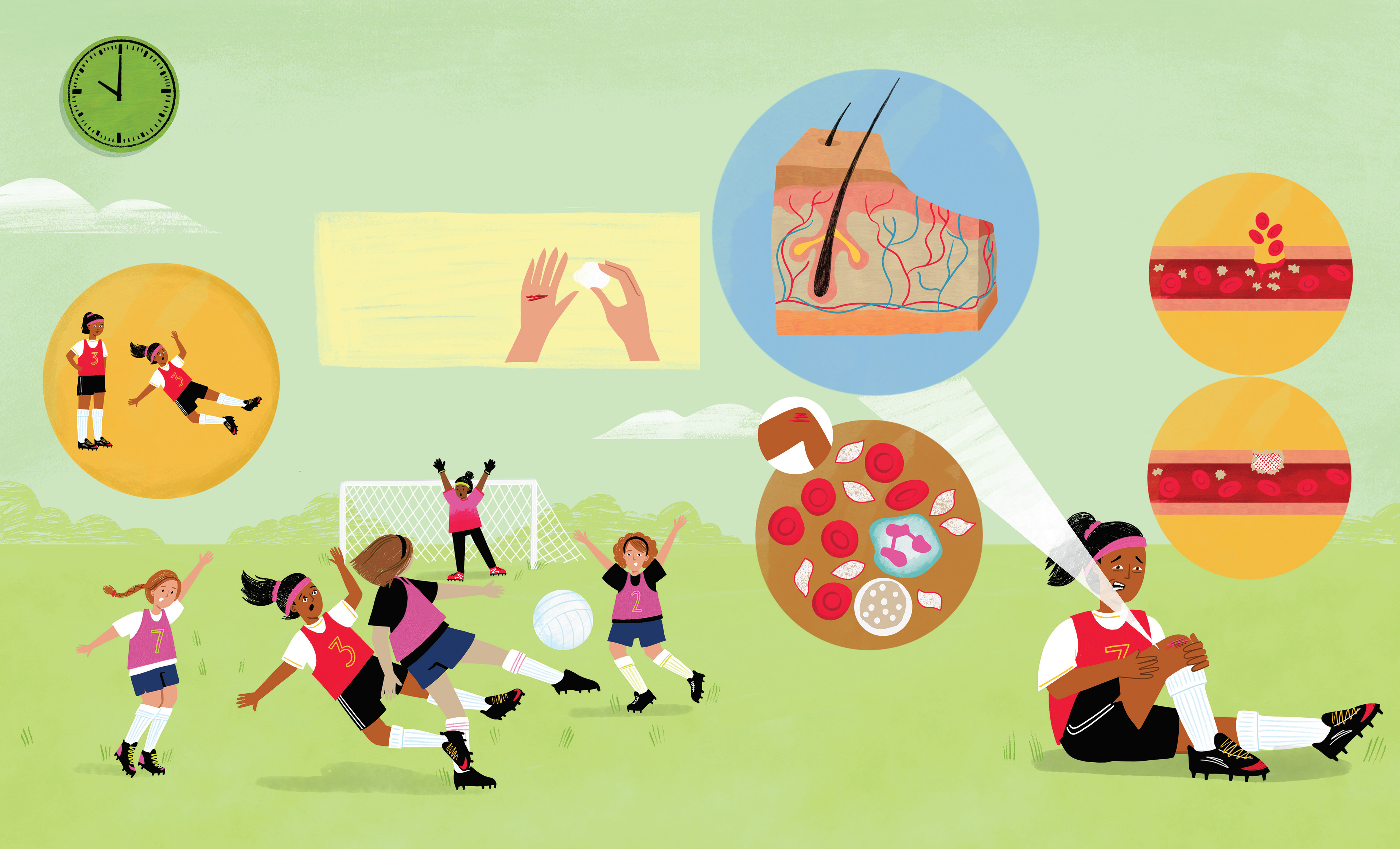 A Day in the Life of your body- Published by Words & Pictures