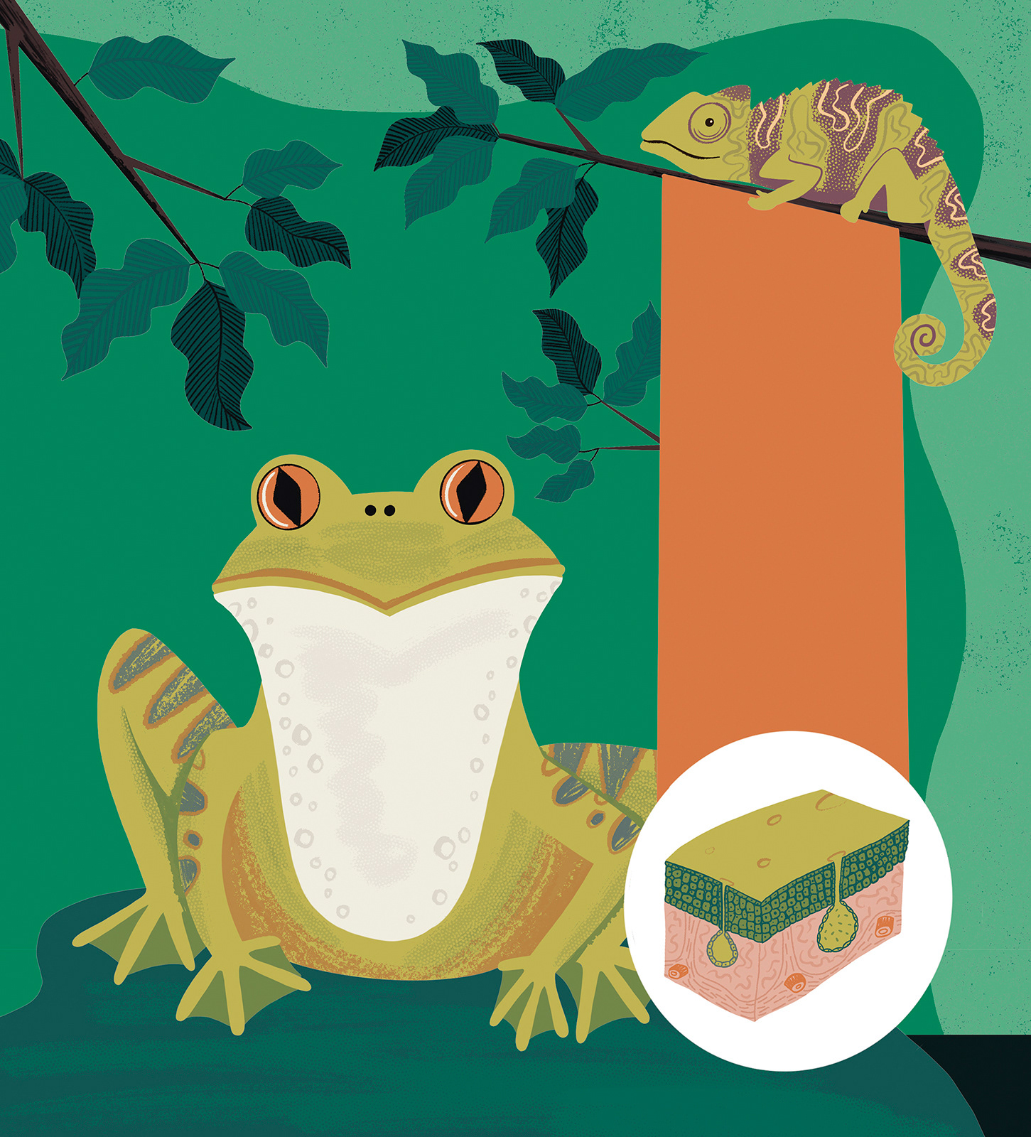 Can You Get Rainbows in Space - Puffin Books