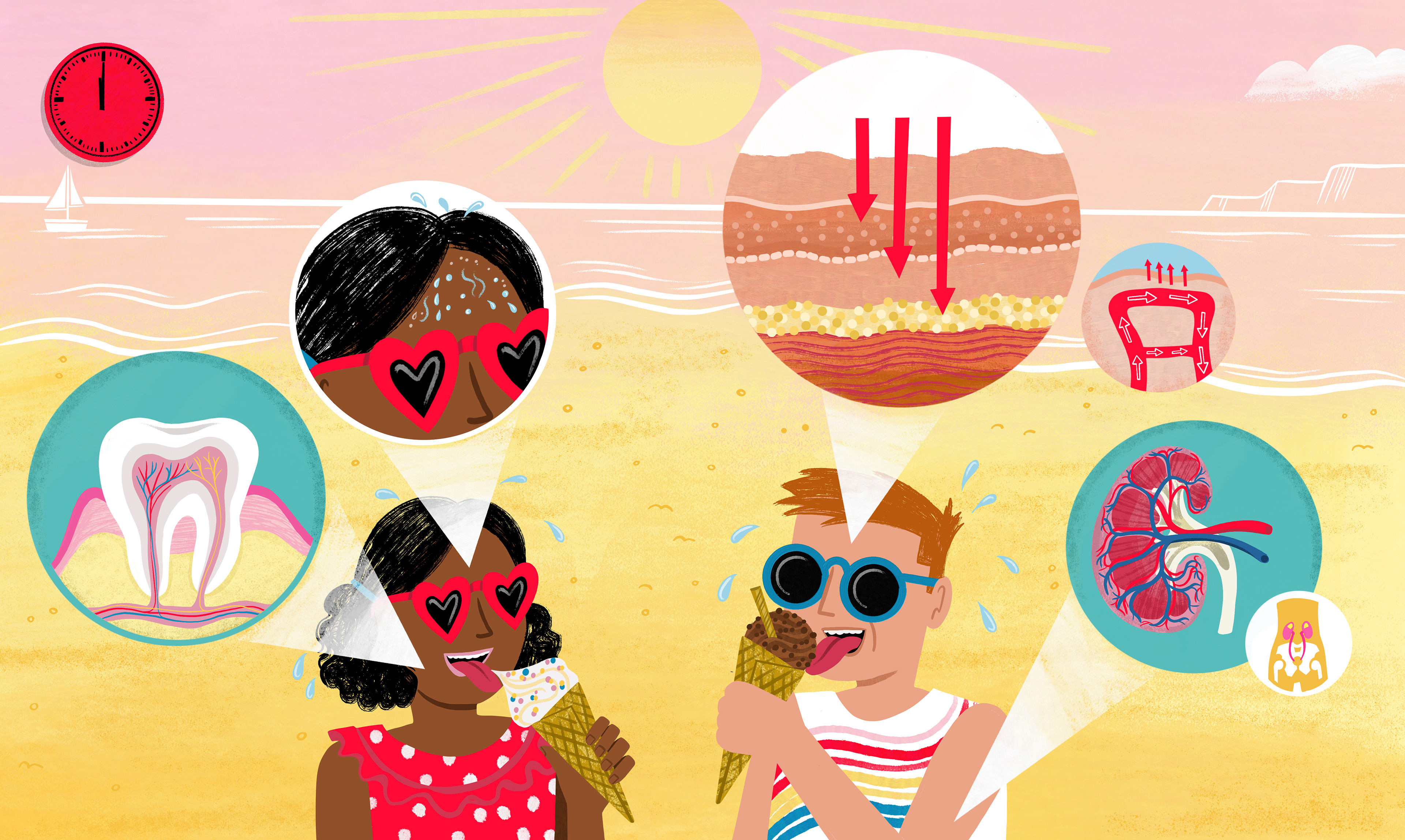 A Day in the Life of your body- Published by Words & Pictures