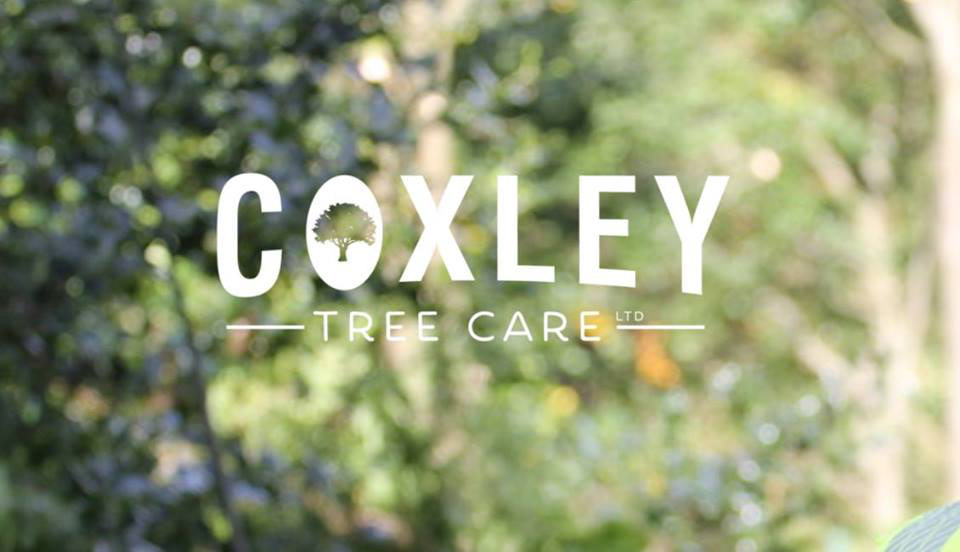 Logo design - Coxley Tree Care