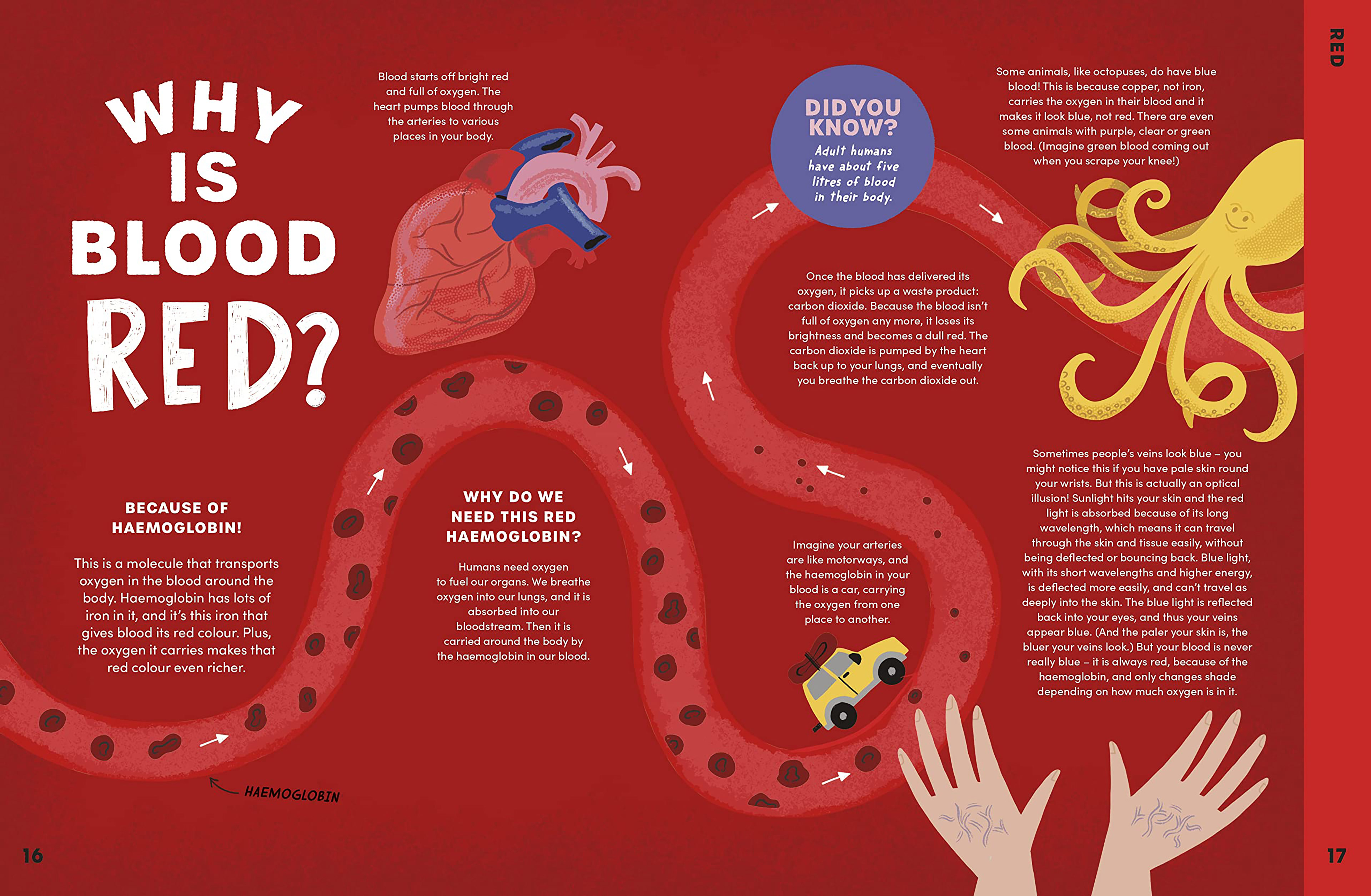 Can You Get Rainbows in Space? Written by Sheila Kanani, Published by Puffin