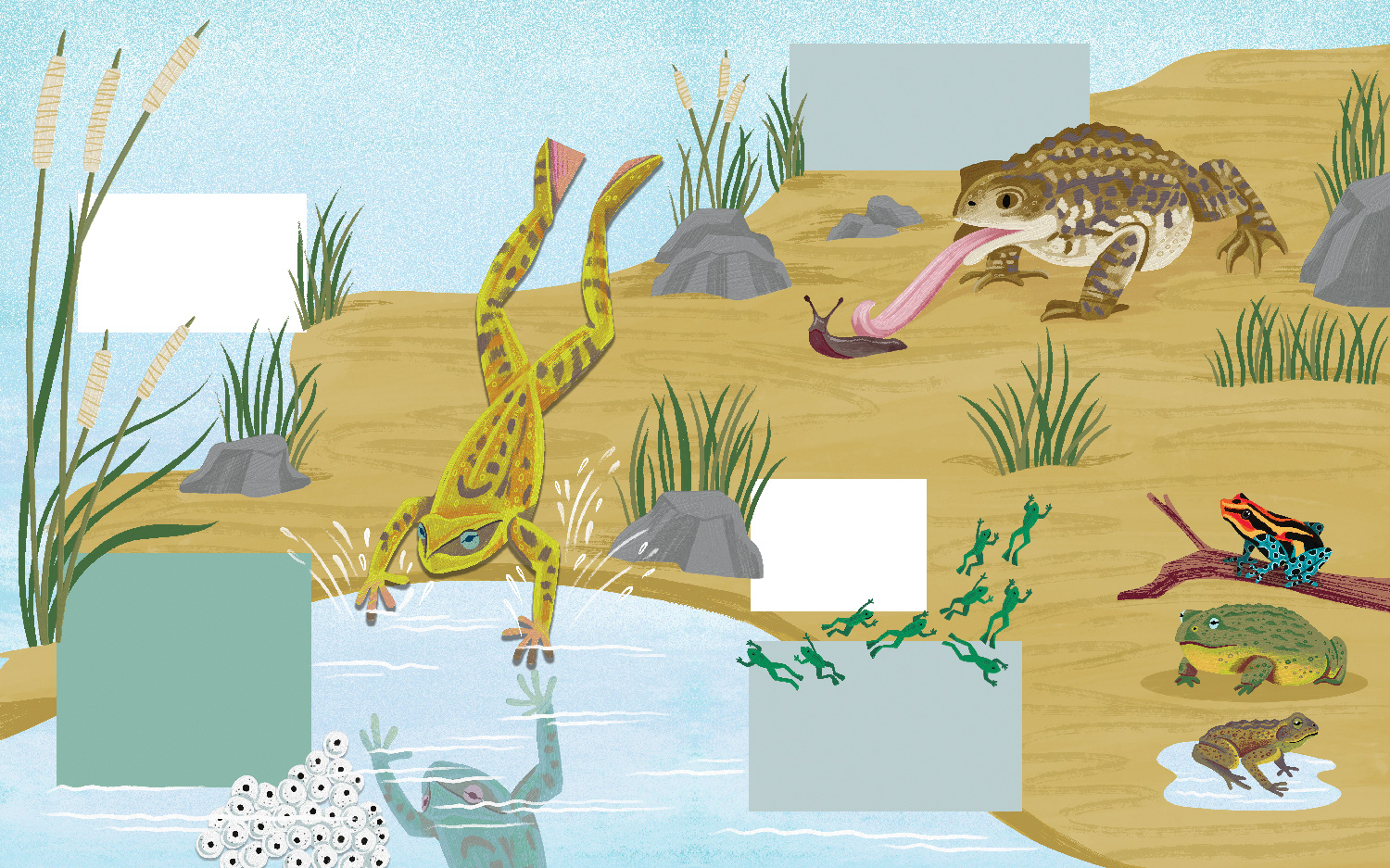 What’s Actually Factually the Difference? Published by Words & Pictures 2025