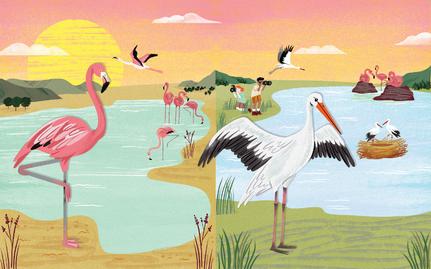 What's the Actually Factually Difference