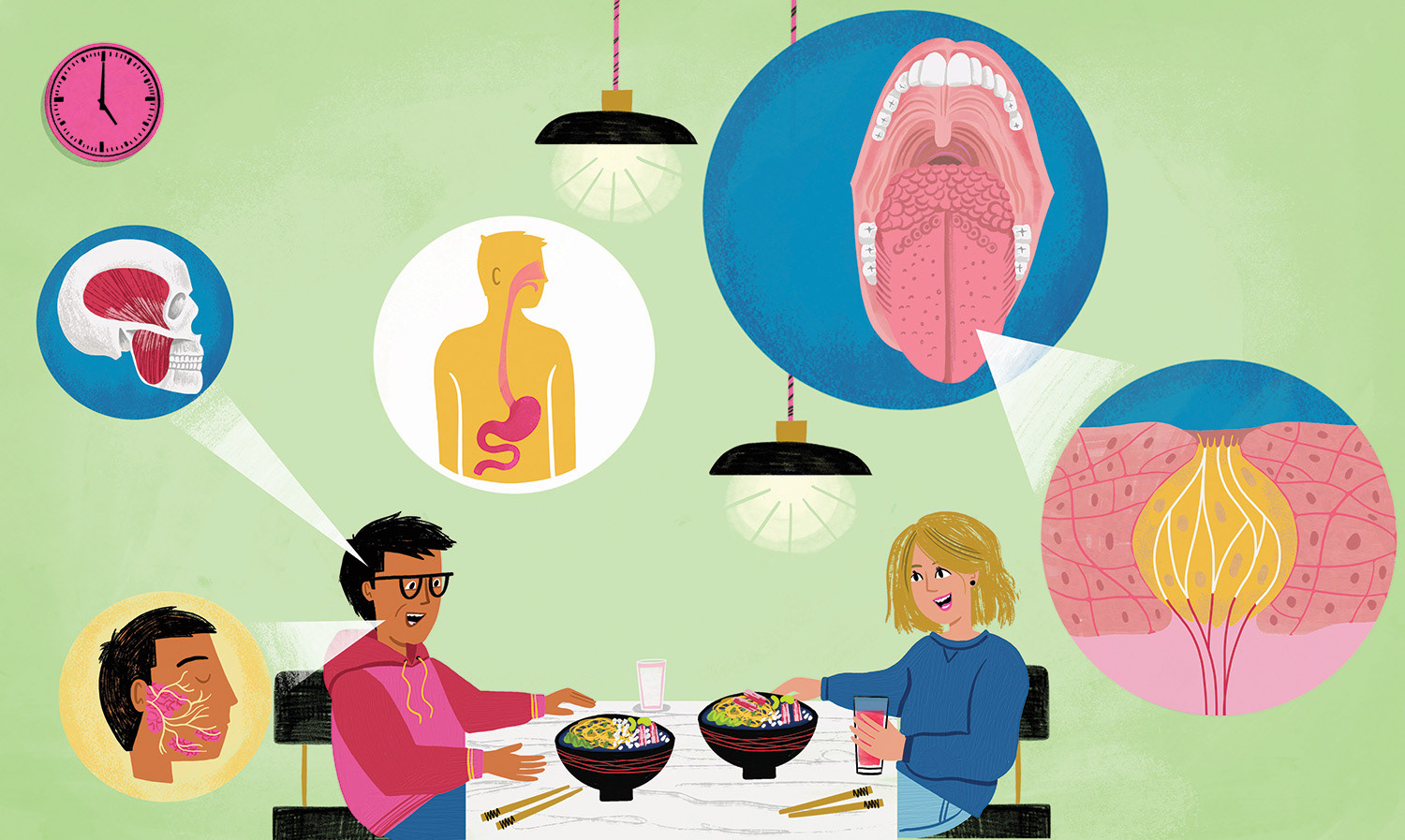 A Day in the Life of your Body