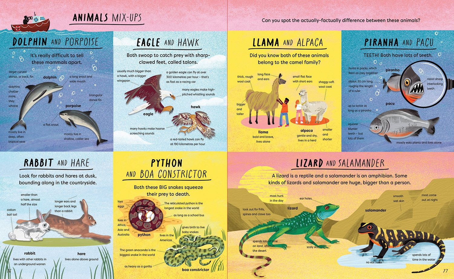 What's the Actually Factually Difference - Quarto