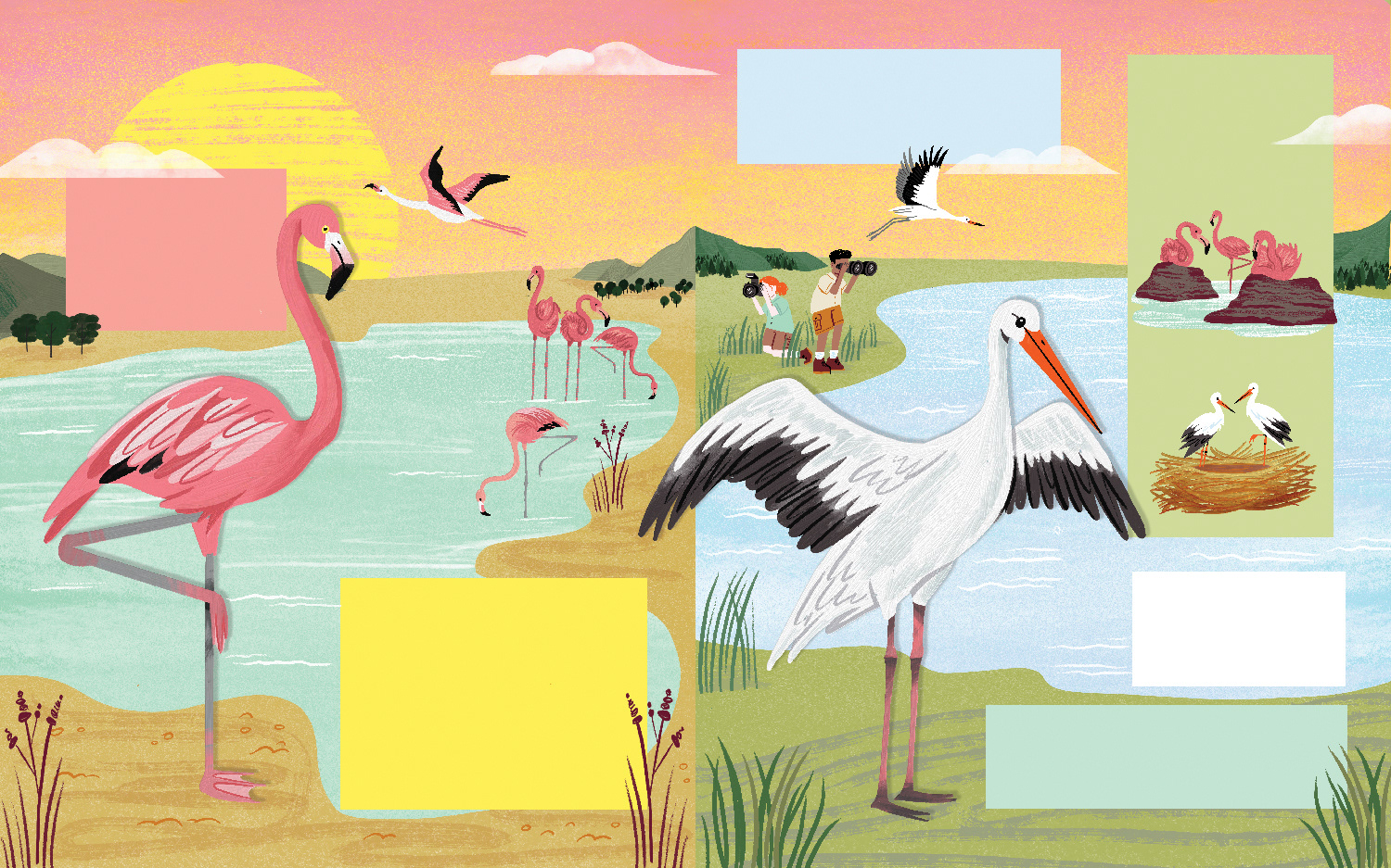 What’s Actually Factually the Difference? Published by Words & Pictures 2025