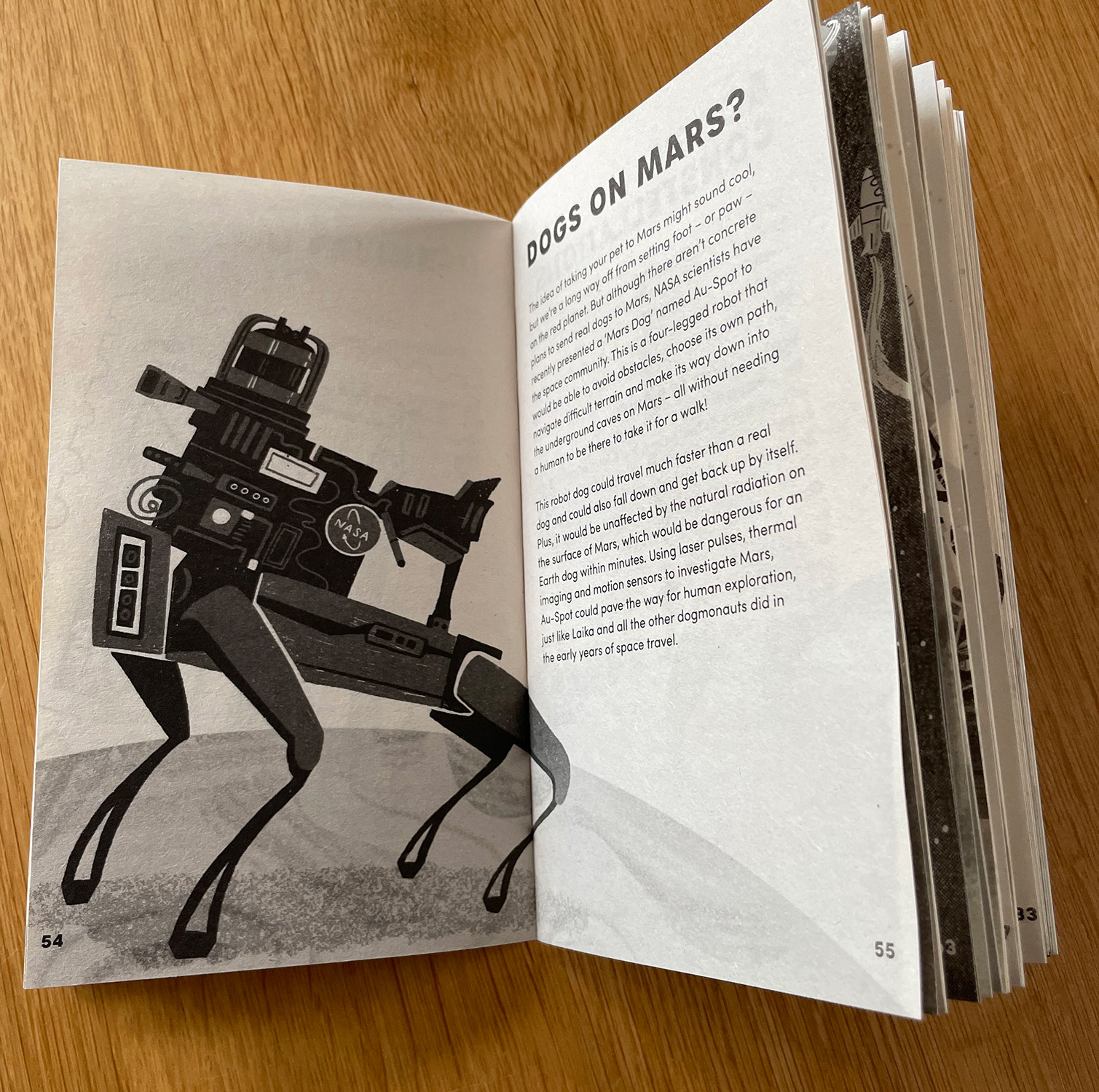 'Can You Get Jellyfish in Space?' A World Book Day 2024. Written by Sheila Kanani. Published by Penguin.