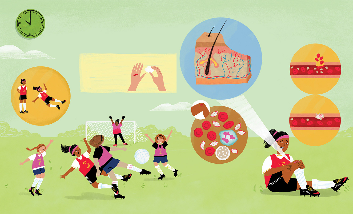 A Day in the Life of your Body