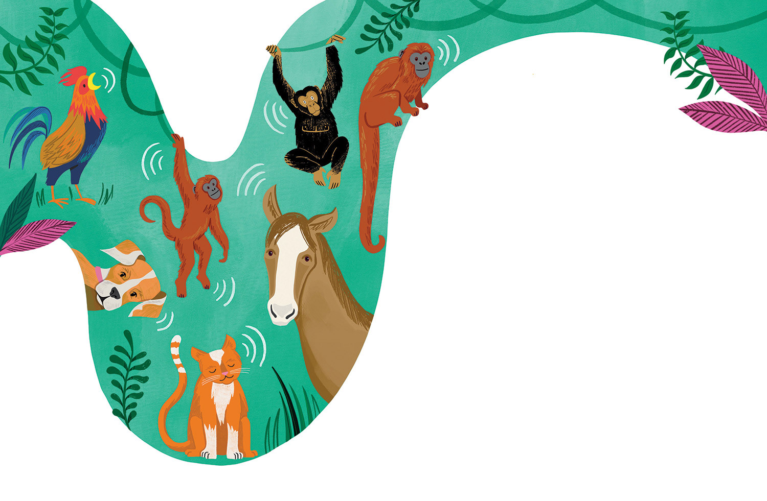 Can You Get Music on the Moon - Written by Dr. Sheila Kanani - Publishing by Puffin - out April 2025