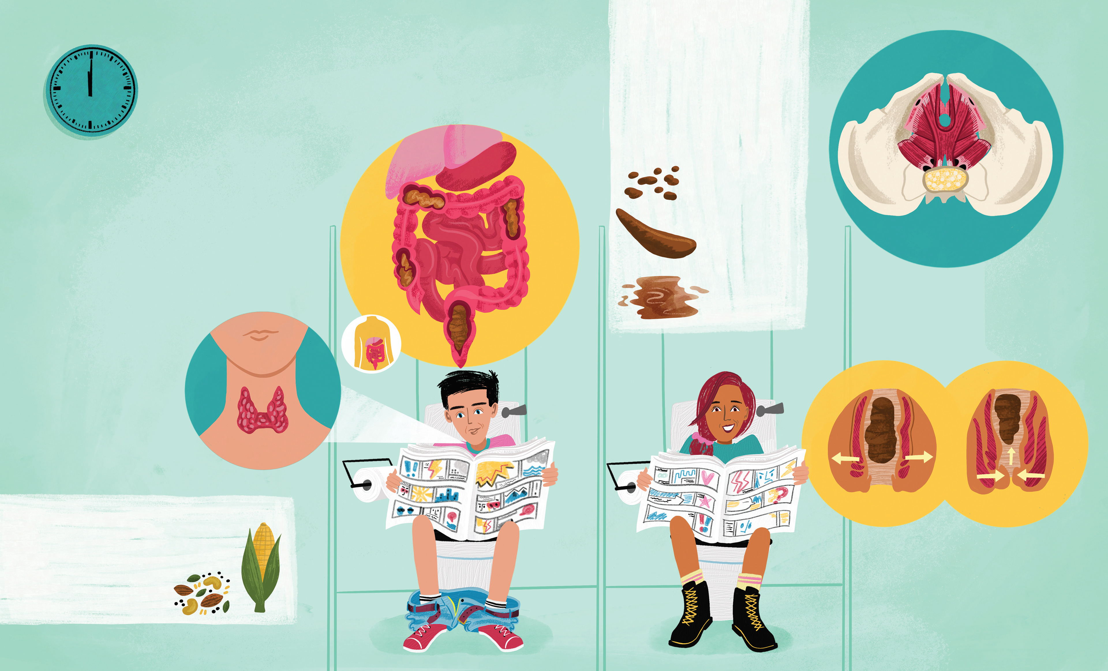 A Day in the Life of your body- Published by Words & Pictures