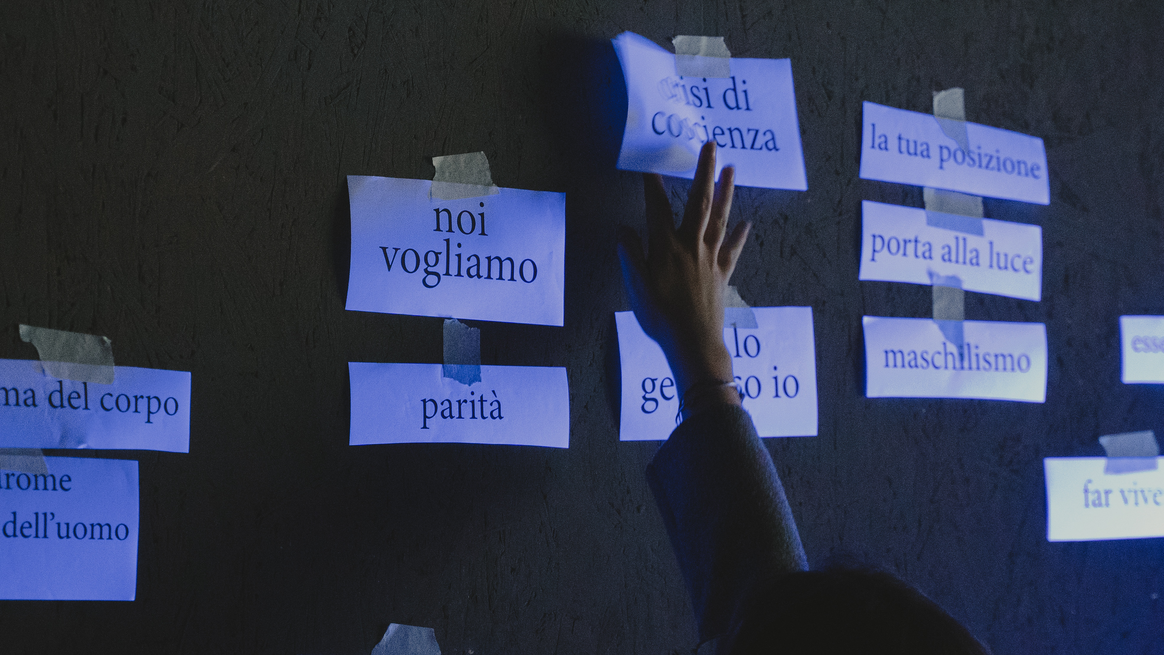 Foto di Carlo Sgarzi