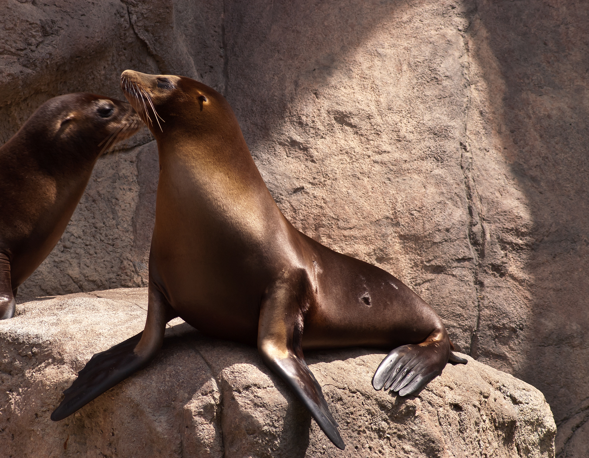 California Seal