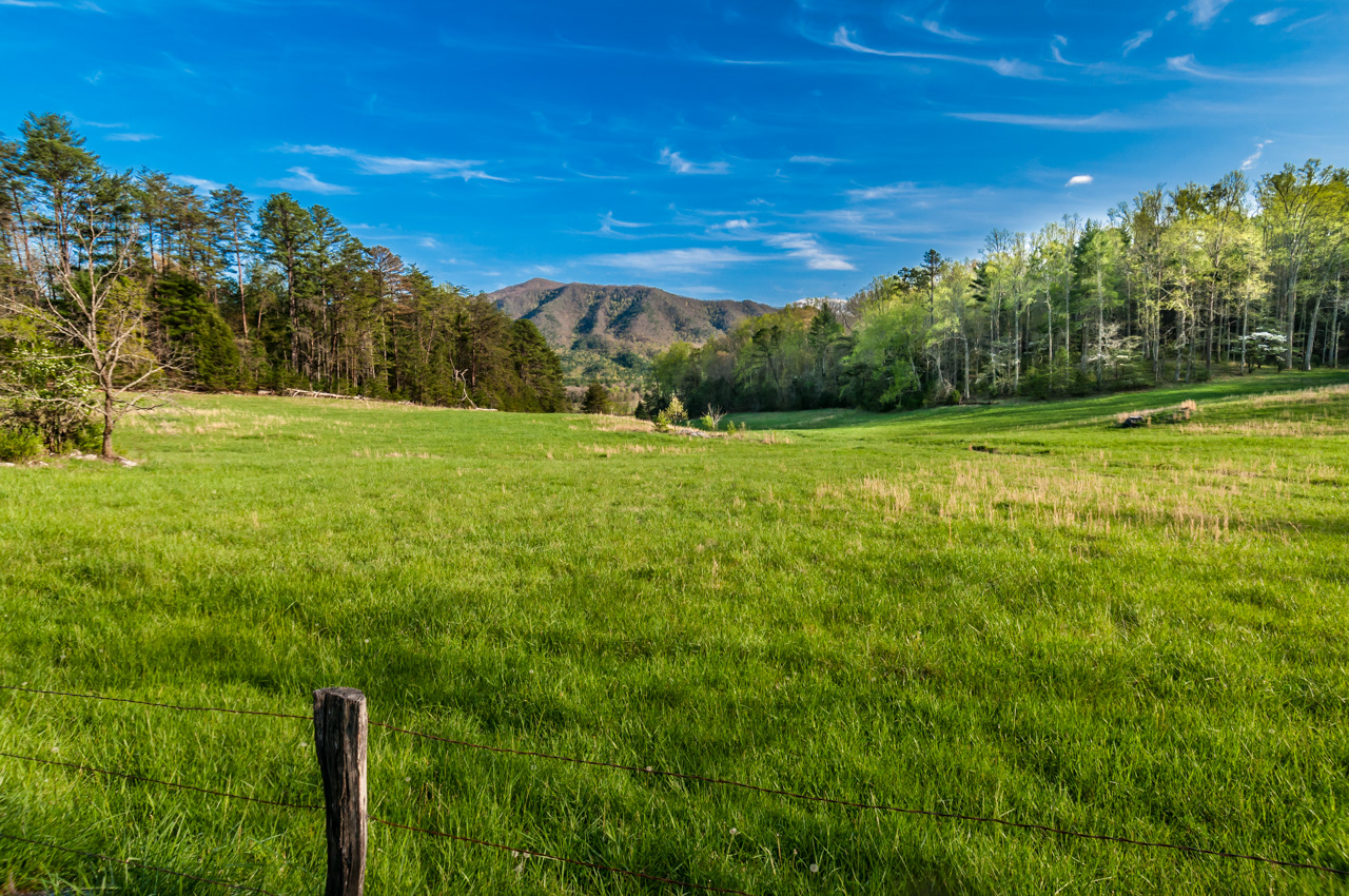 Cades Cove meadow Great Smokey Mountains National Park