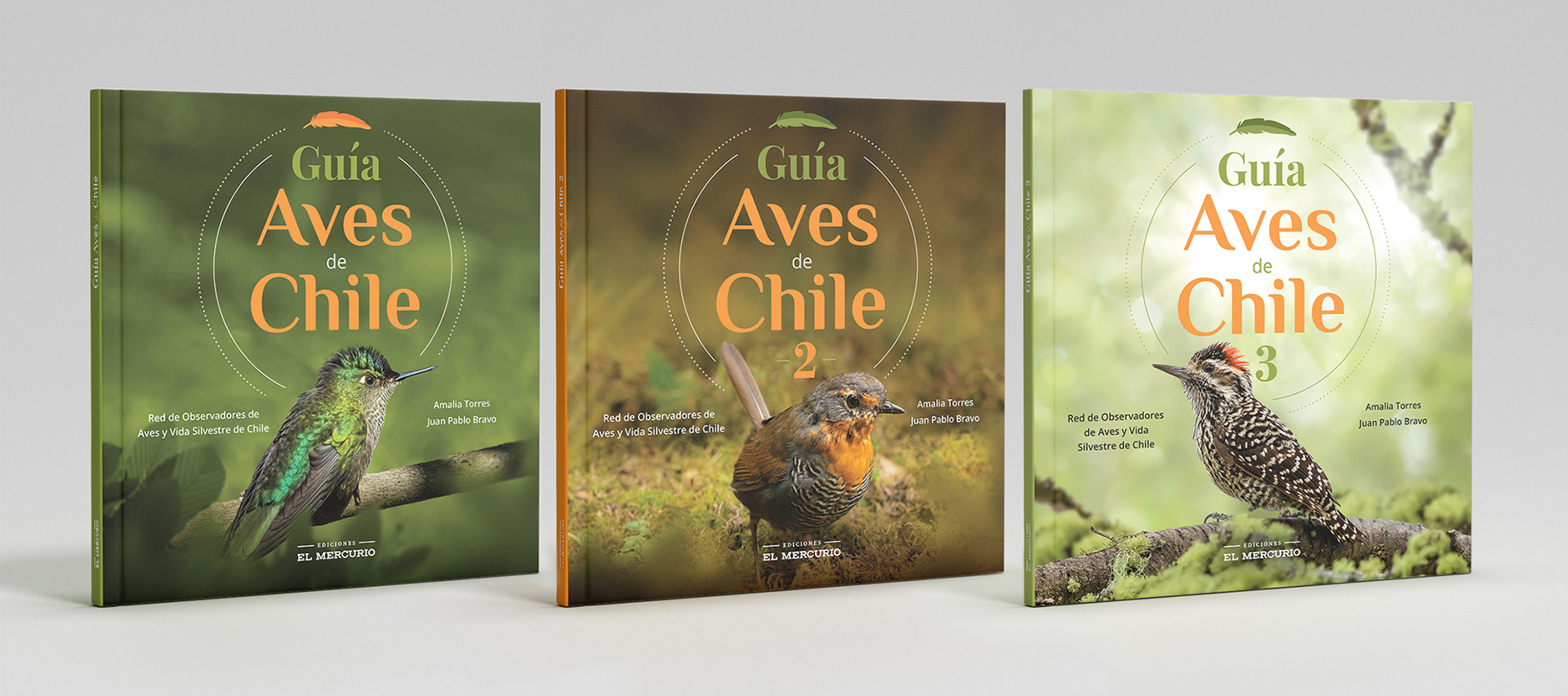 Serie libros Guía Aves de Chile | 2019, 2022 y 2024, Ediciones El Mercurio