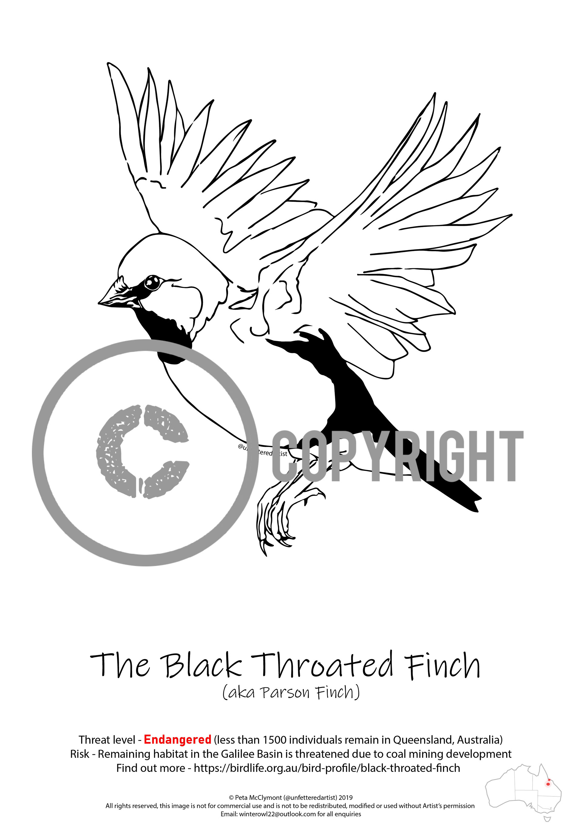 Endangered bird colouring in sheet, downloadable on request
